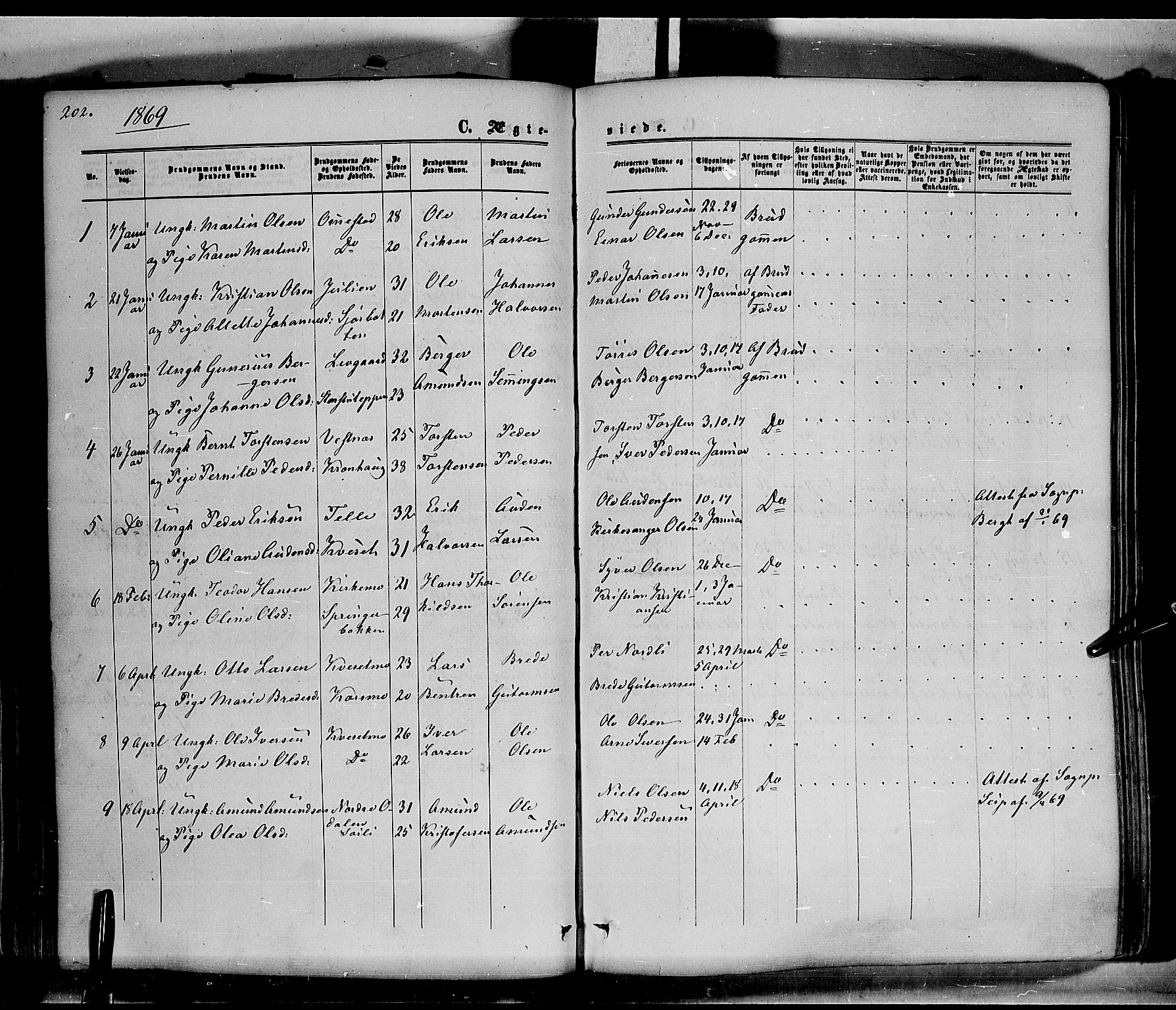 Hof prestekontor, SAH/PREST-038/H/Ha/Haa/L0009: Parish register (official) no. 9, 1862-1877, p. 202