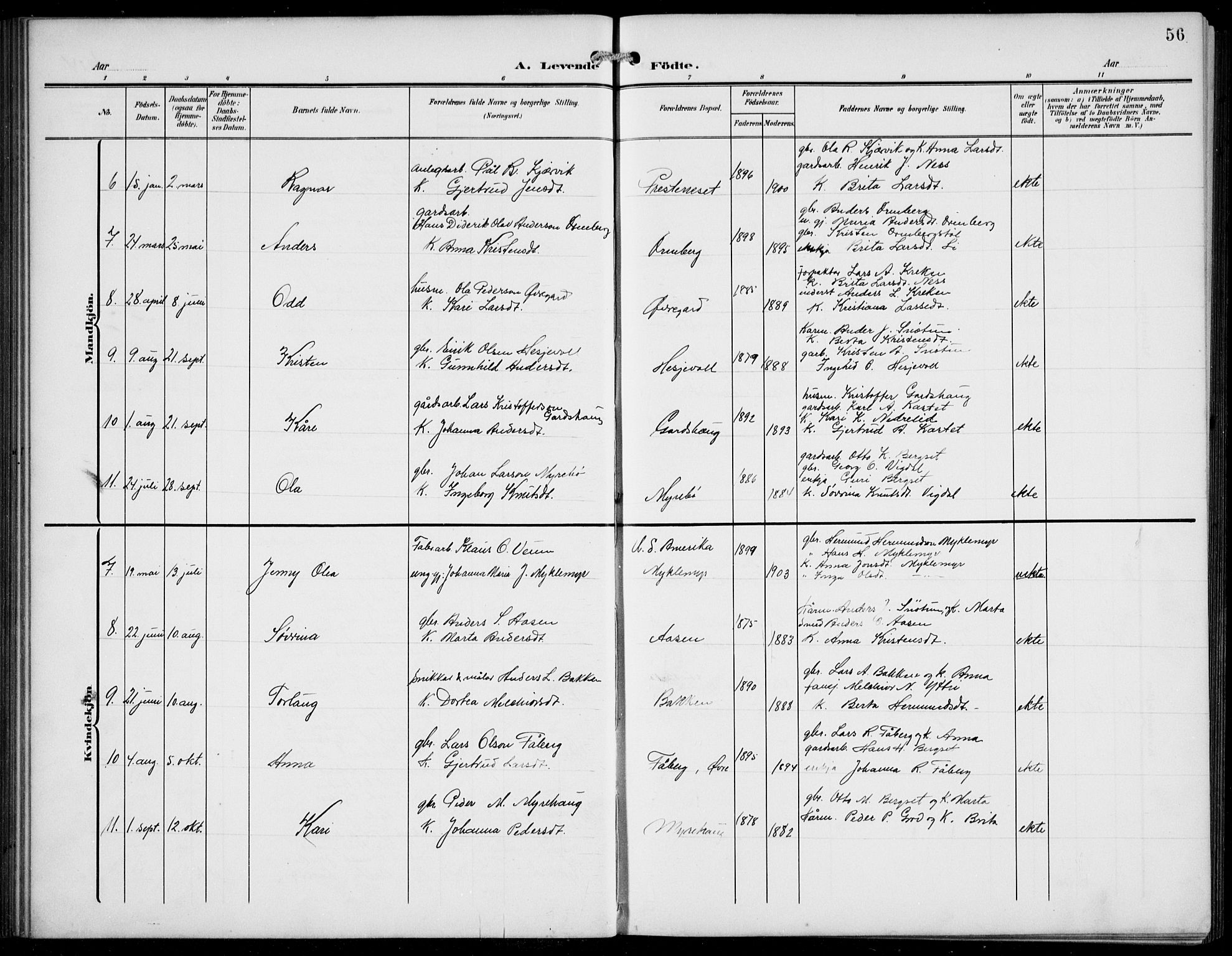 Jostedal sokneprestembete, AV/SAB-A-80601/H/Hab/Haba/L0002: Parish register (copy) no. A 2, 1907-1931, p. 56