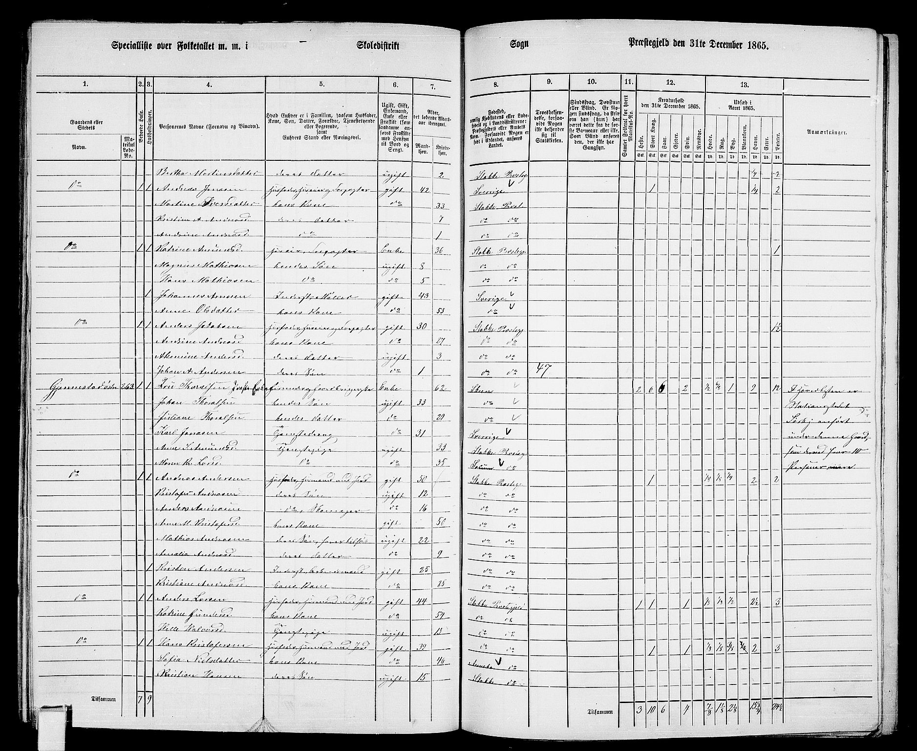 RA, 1865 census for Stokke, 1865, p. 138