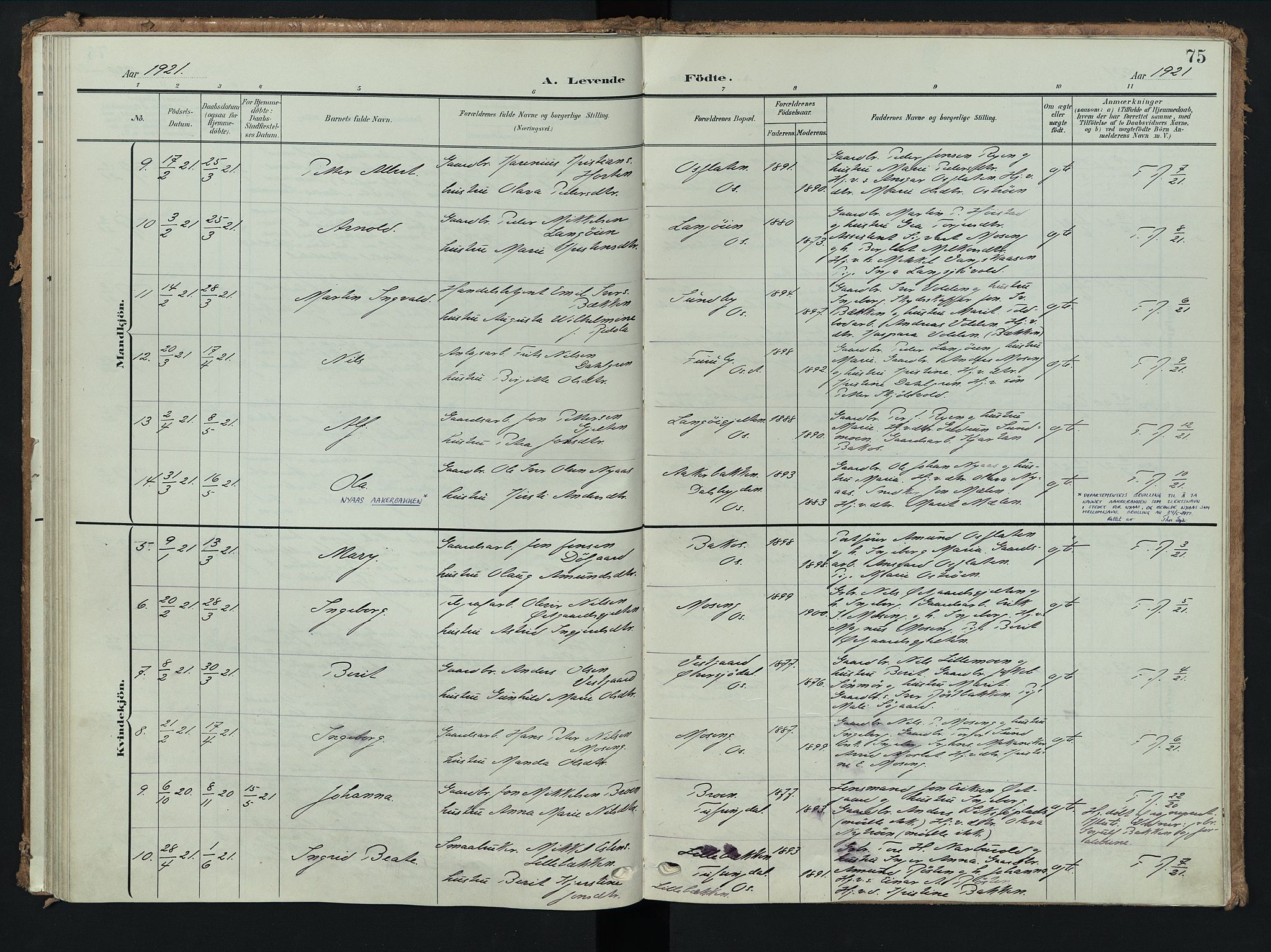 Tolga prestekontor, AV/SAH-PREST-062/K/L0009: Parish register (official) no. 9, 1903-1928, p. 75