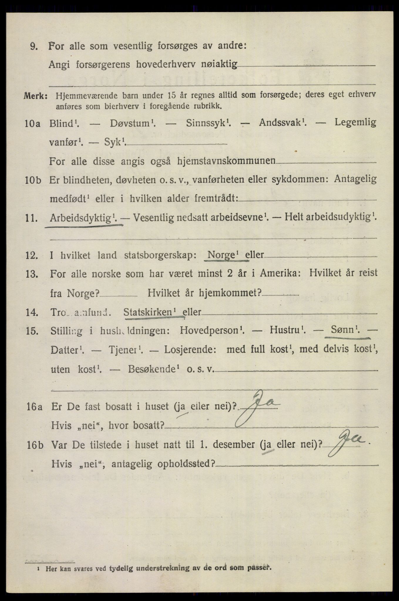 SAKO, 1920 census for Sigdal, 1920, p. 1921