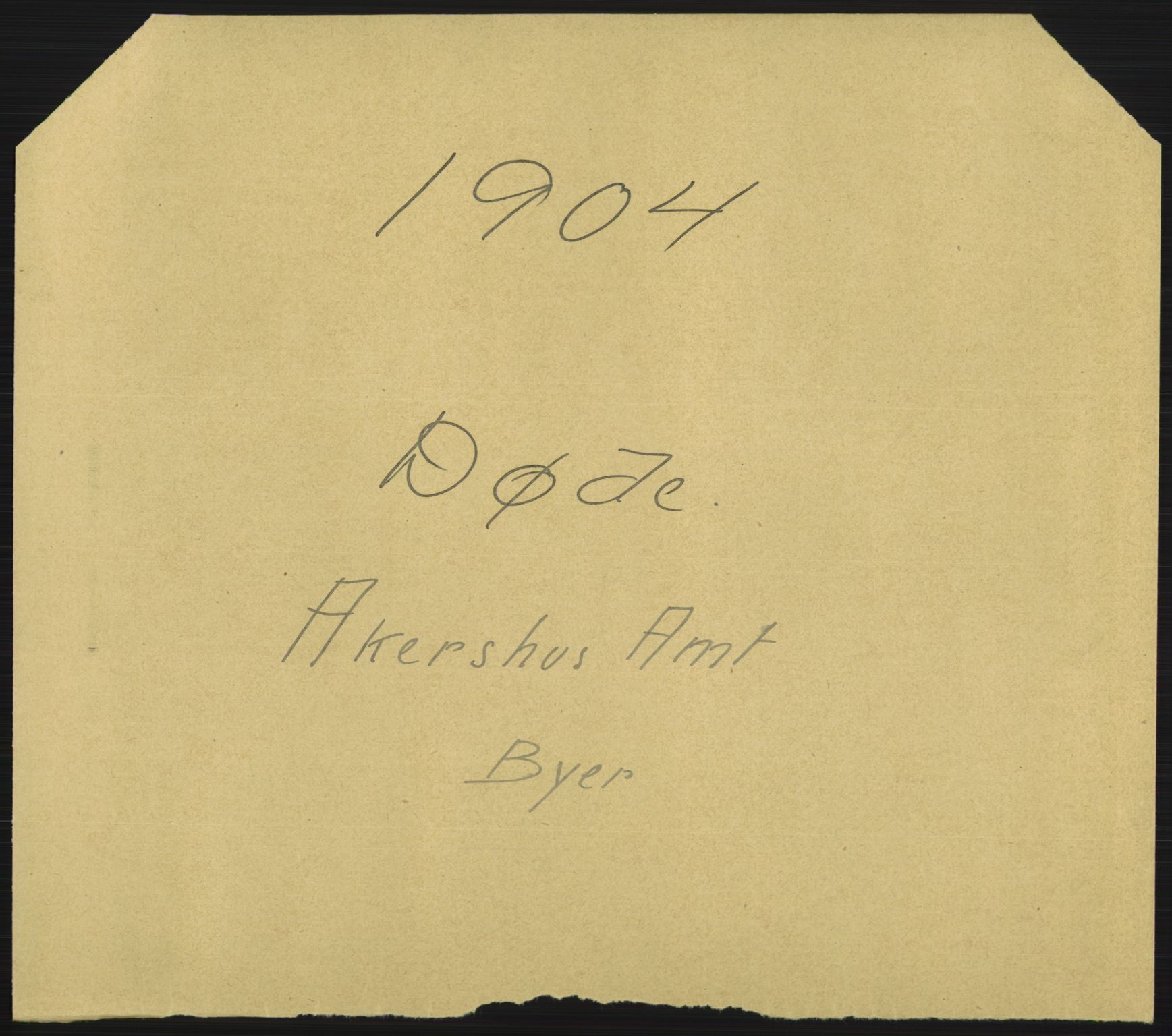 Statistisk sentralbyrå, Sosiodemografiske emner, Befolkning, AV/RA-S-2228/D/Df/Dfa/Dfab/L0002: Akershus amt: Fødte, gifte, døde, 1904, p. 799