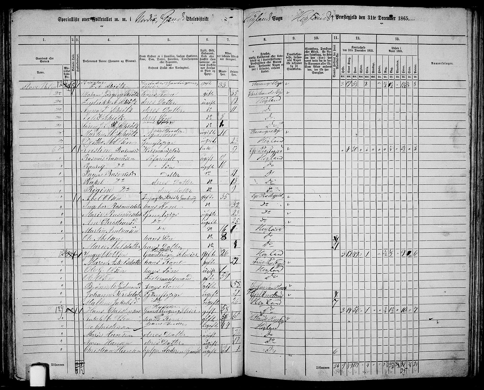 RA, 1865 census for Høyland, 1865, p. 78