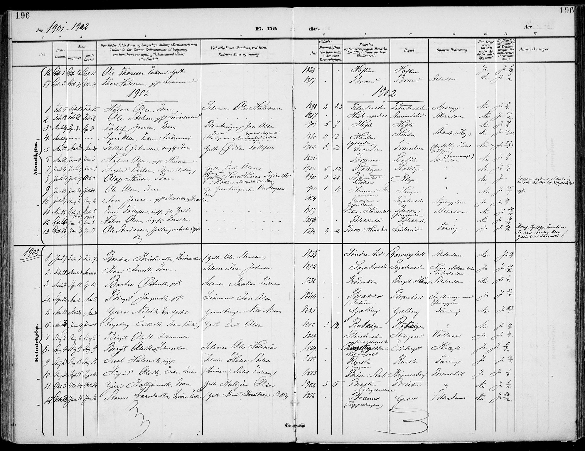 Gol kirkebøker, SAKO/A-226/F/Fa/L0006: Parish register (official) no. I 6, 1901-1918, p. 196