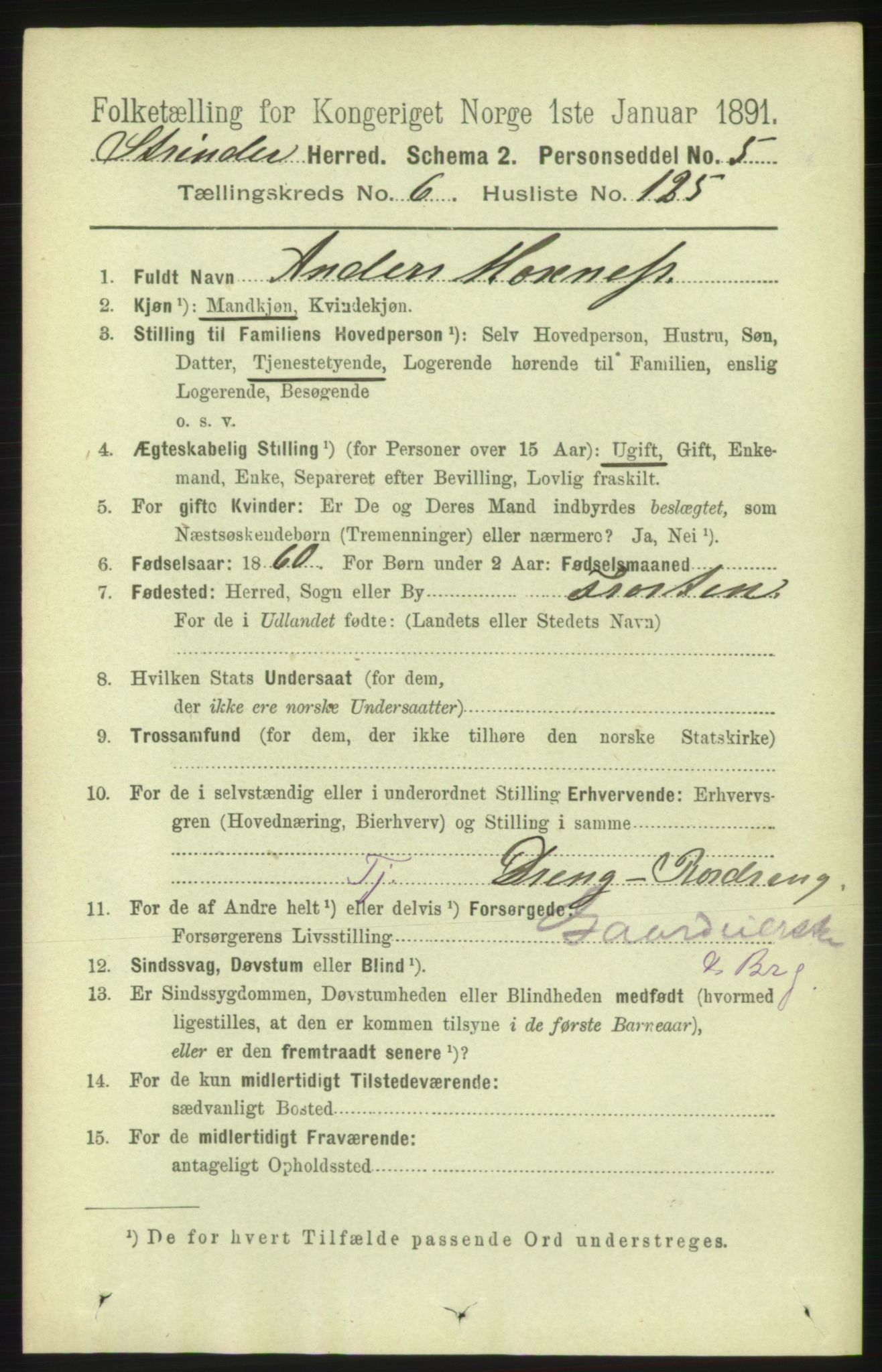 RA, 1891 census for 1660 Strinda, 1891, p. 6133