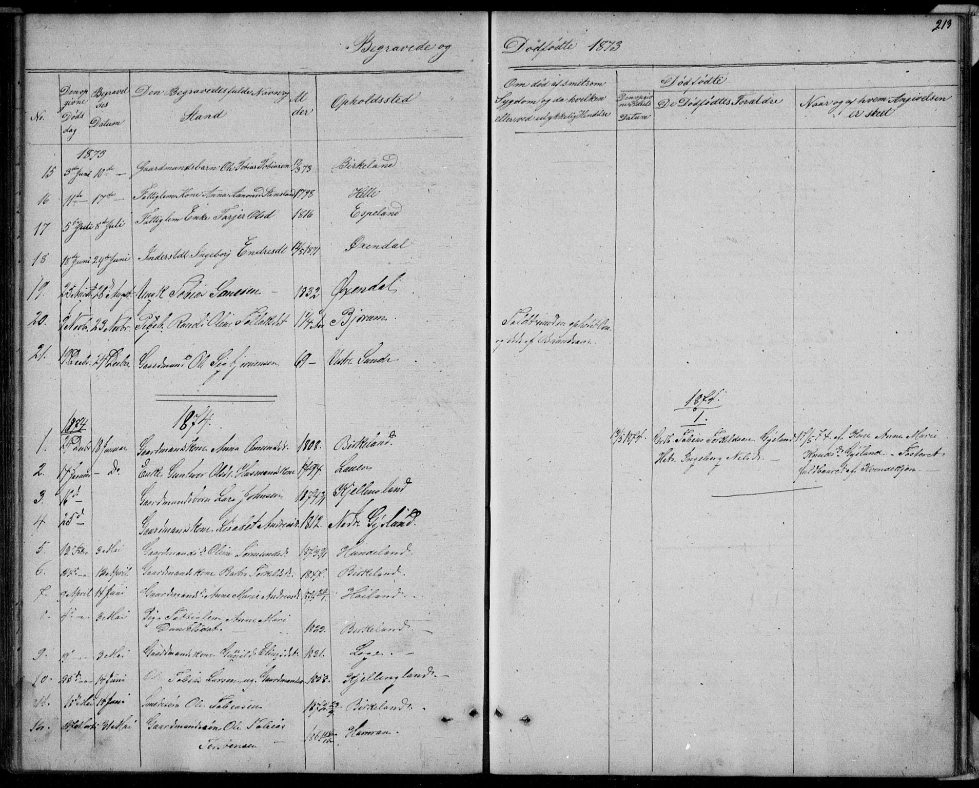 Hægebostad sokneprestkontor, SAK/1111-0024/F/Fb/Fba/L0002: Parish register (copy) no. B 2, 1851-1882, p. 213