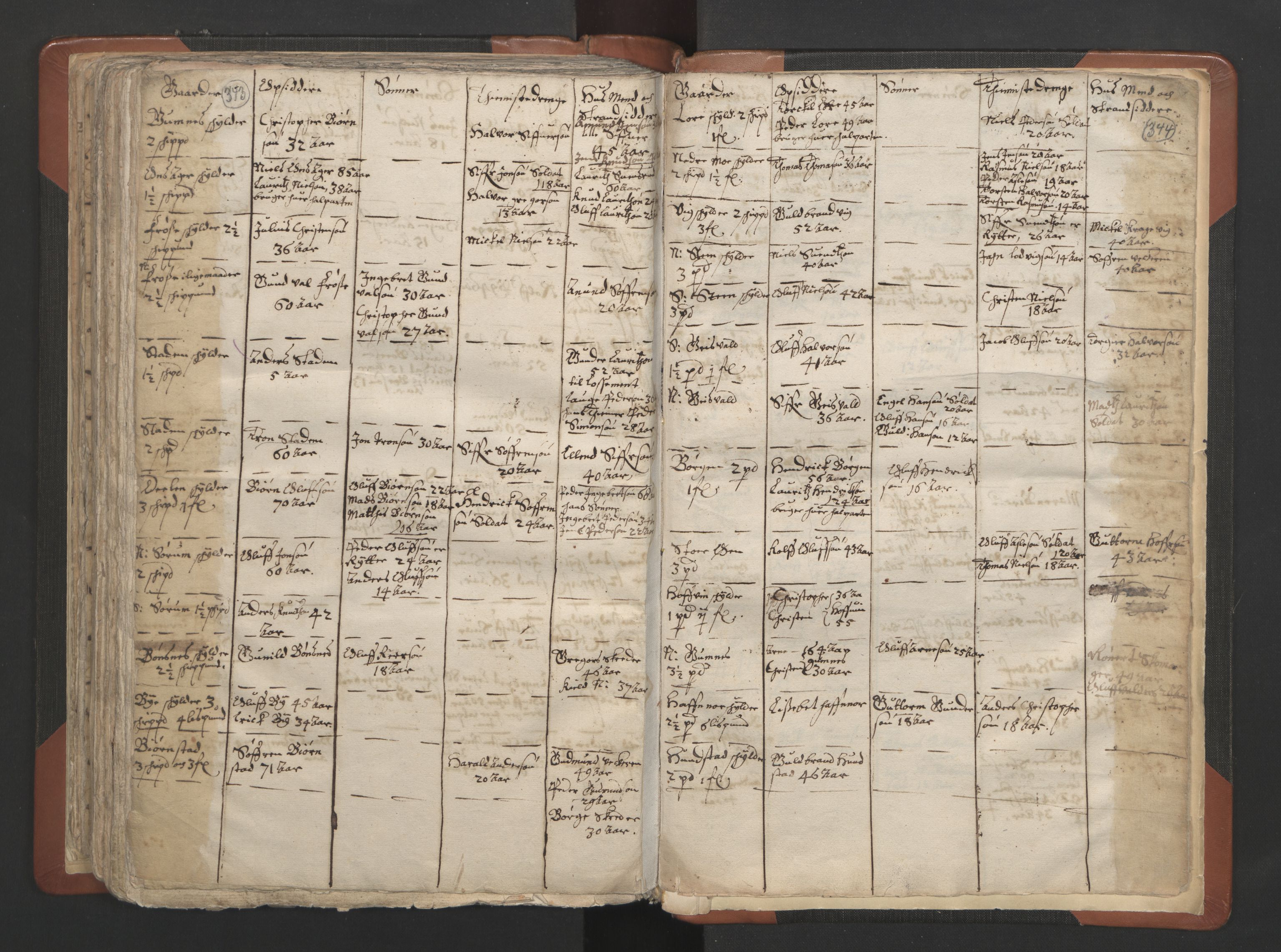 RA, Vicar's Census 1664-1666, no. 7: Hadeland deanery, 1664-1666, p. 343-344