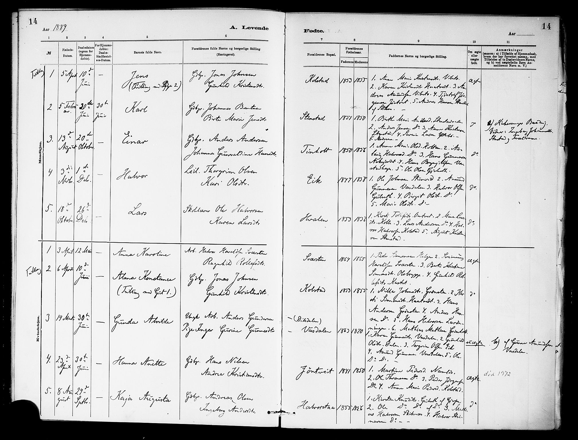 Holla kirkebøker, SAKO/A-272/F/Fa/L0009: Parish register (official) no. 9, 1881-1897, p. 14