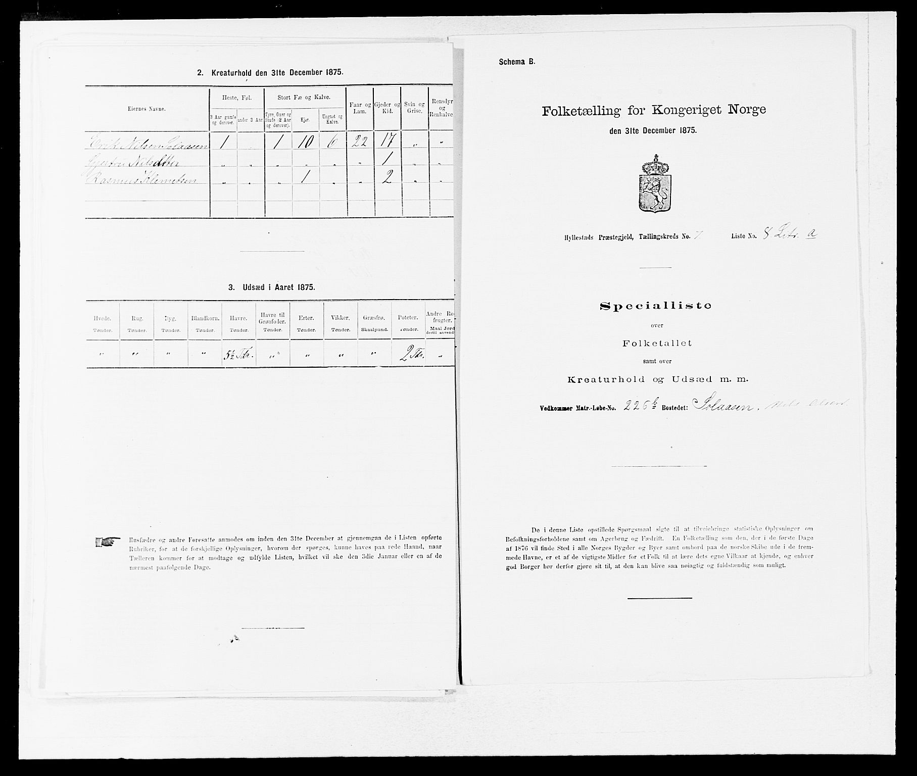 SAB, 1875 census for 1413P Hyllestad, 1875, p. 732