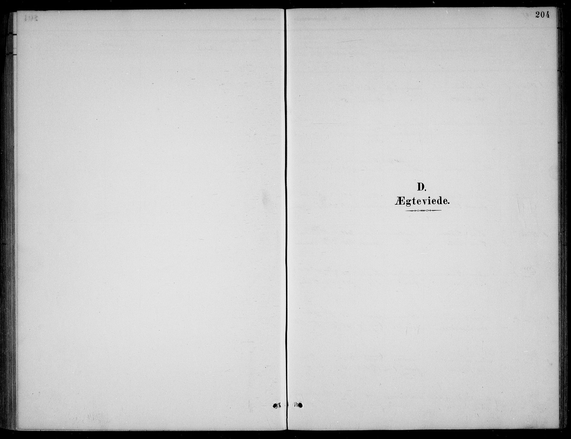 Bjelland sokneprestkontor, SAK/1111-0005/F/Fb/Fba/L0005: Parish register (copy) no. B 5, 1887-1923, p. 204