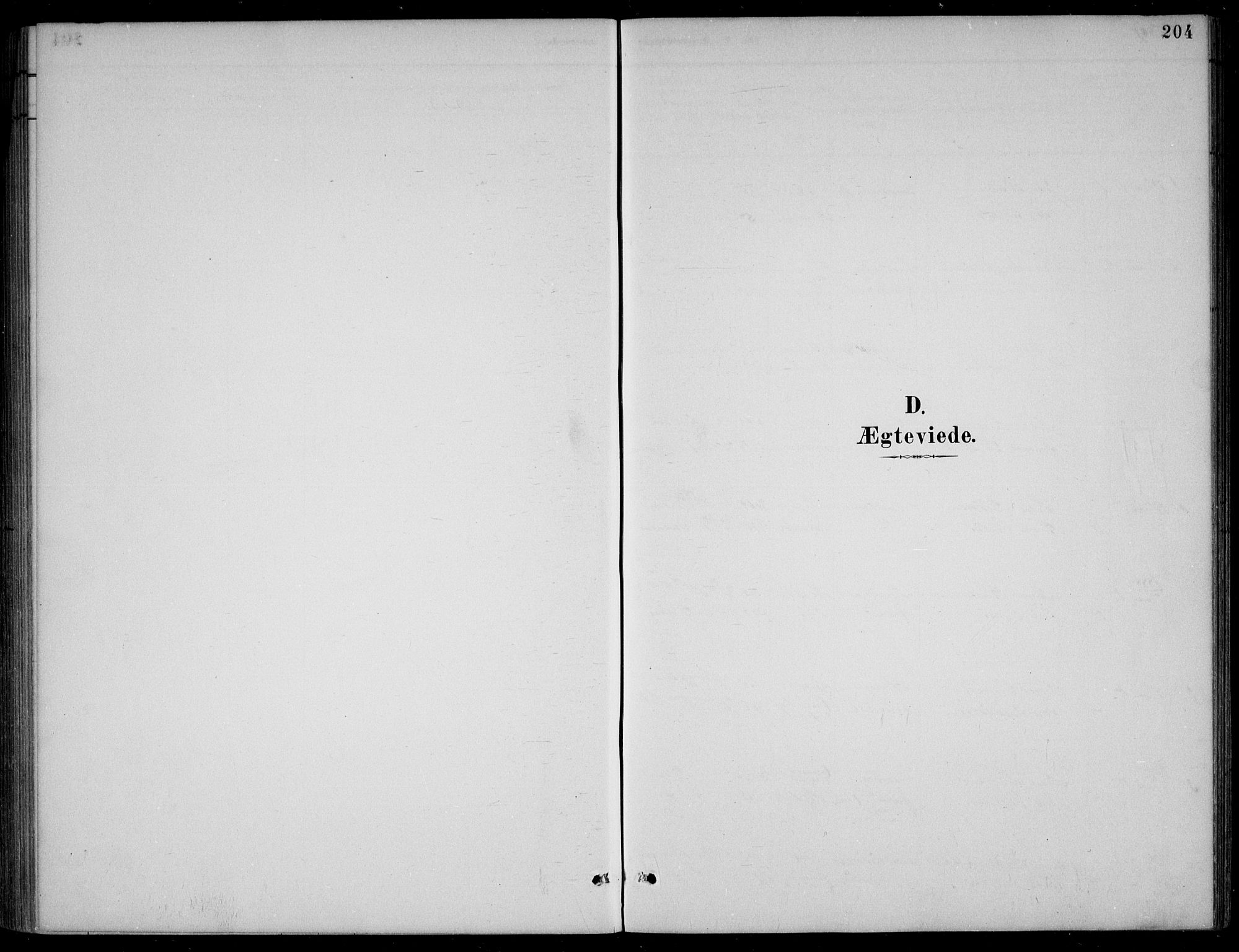 Bjelland sokneprestkontor, AV/SAK-1111-0005/F/Fb/Fba/L0005: Parish register (copy) no. B 5, 1887-1923, p. 204