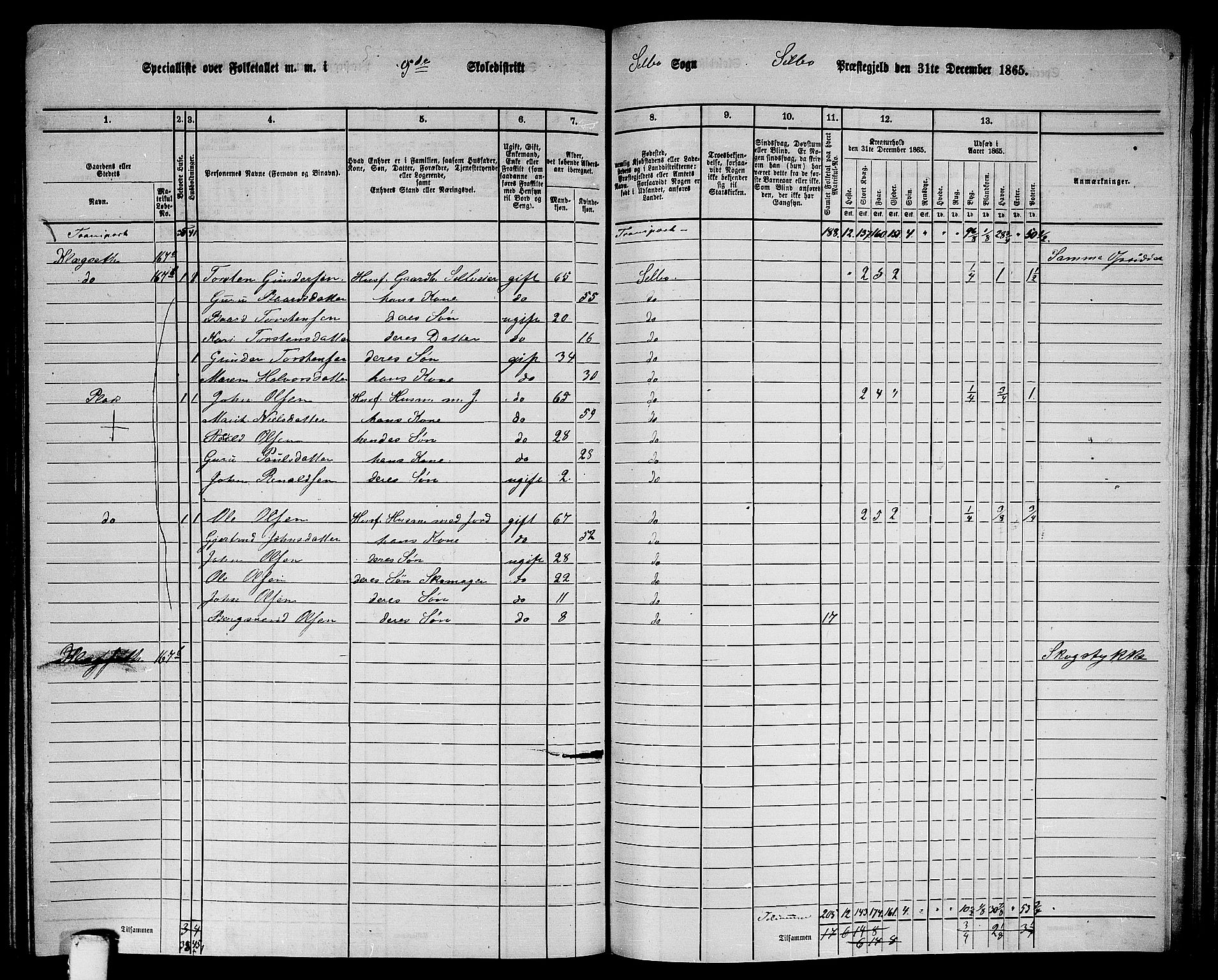 RA, 1865 census for Selbu, 1865, p. 176