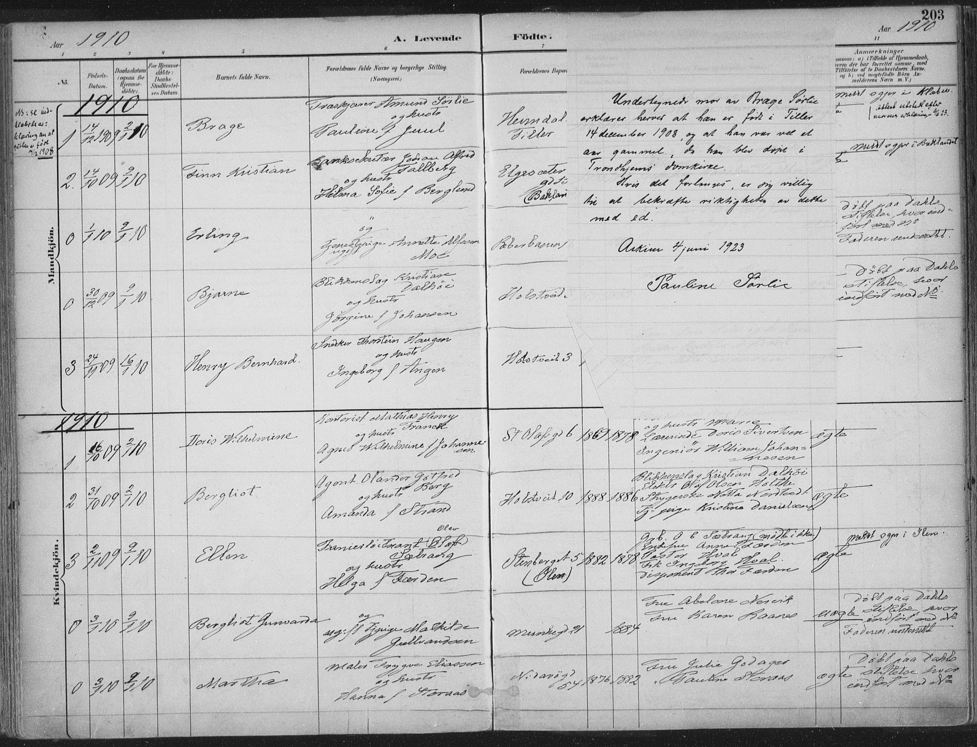 Ministerialprotokoller, klokkerbøker og fødselsregistre - Sør-Trøndelag, SAT/A-1456/601/L0062: Parish register (official) no. 601A30, 1891-1911, p. 203