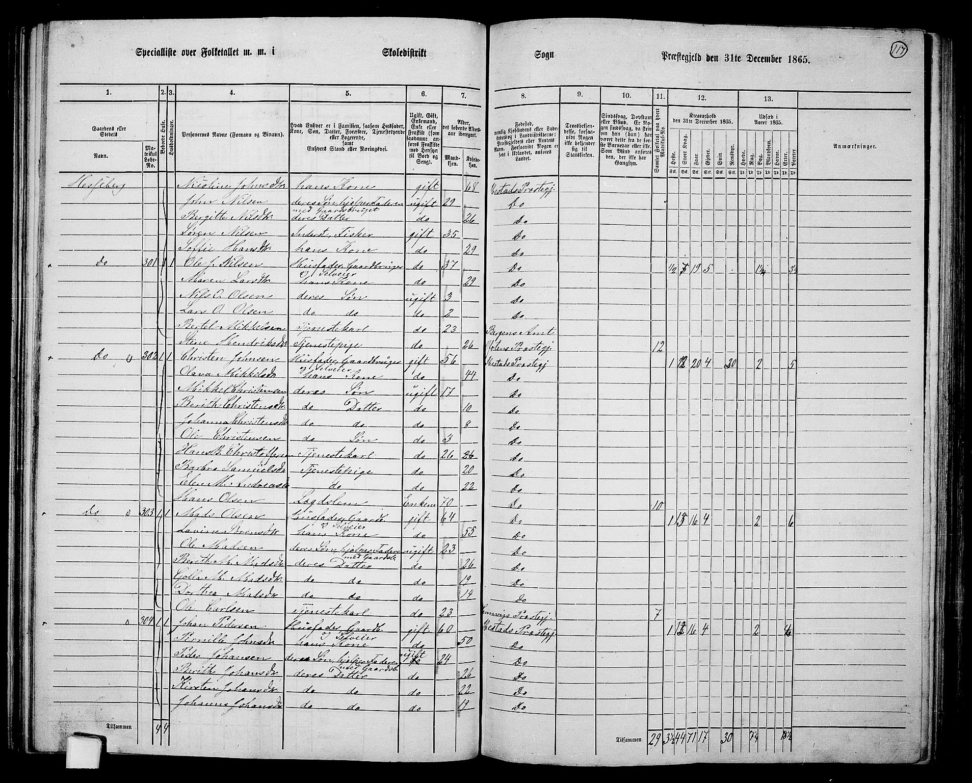 RA, 1865 census for Ibestad, 1865, p. 110