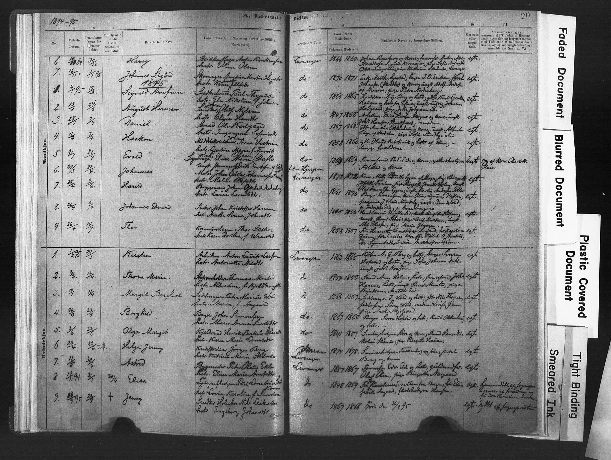 Ministerialprotokoller, klokkerbøker og fødselsregistre - Nord-Trøndelag, SAT/A-1458/720/L0189: Parish register (official) no. 720A05, 1880-1911, p. 20