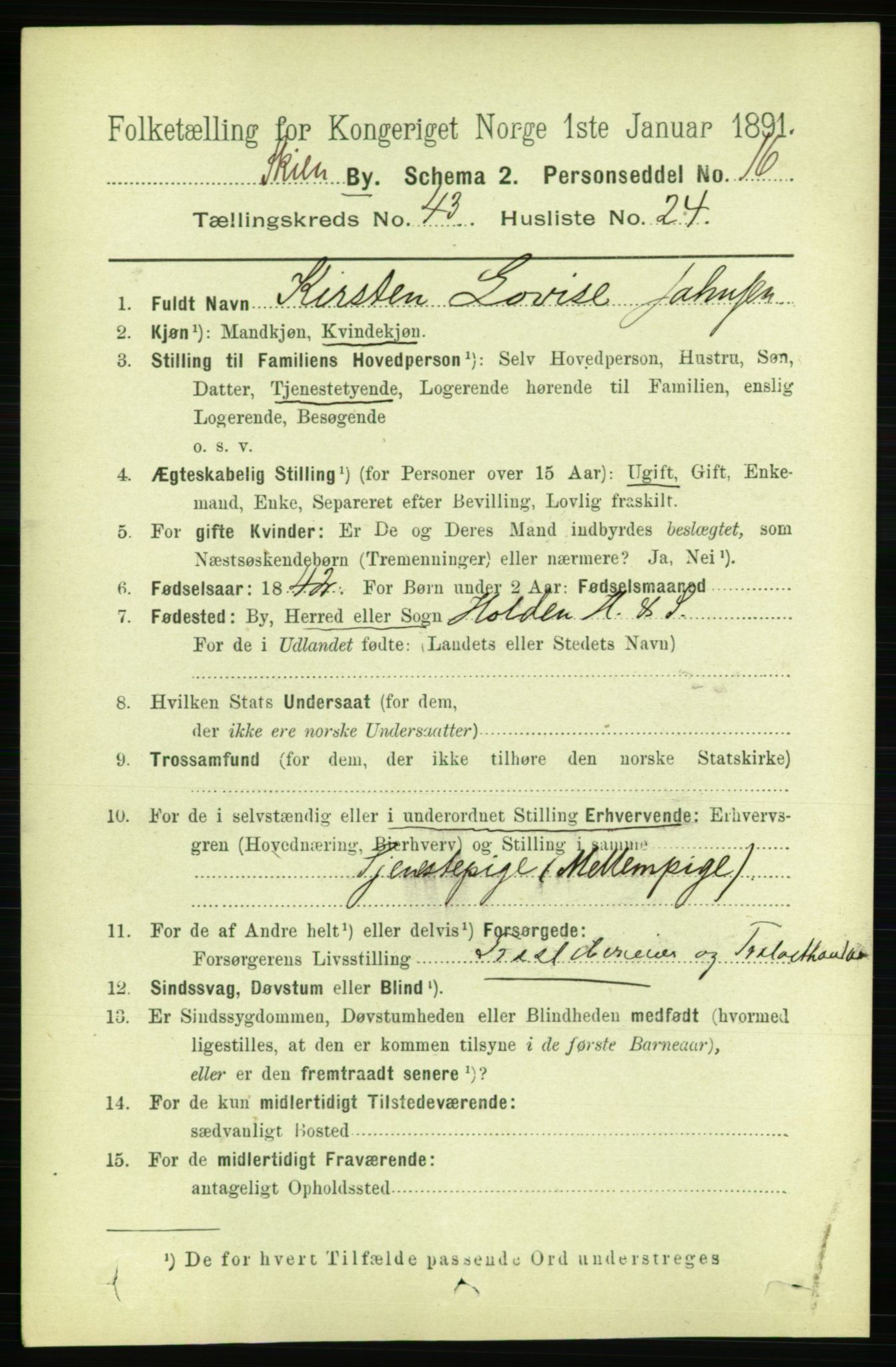 RA, 1891 census for 0806 Skien, 1891, p. 8762