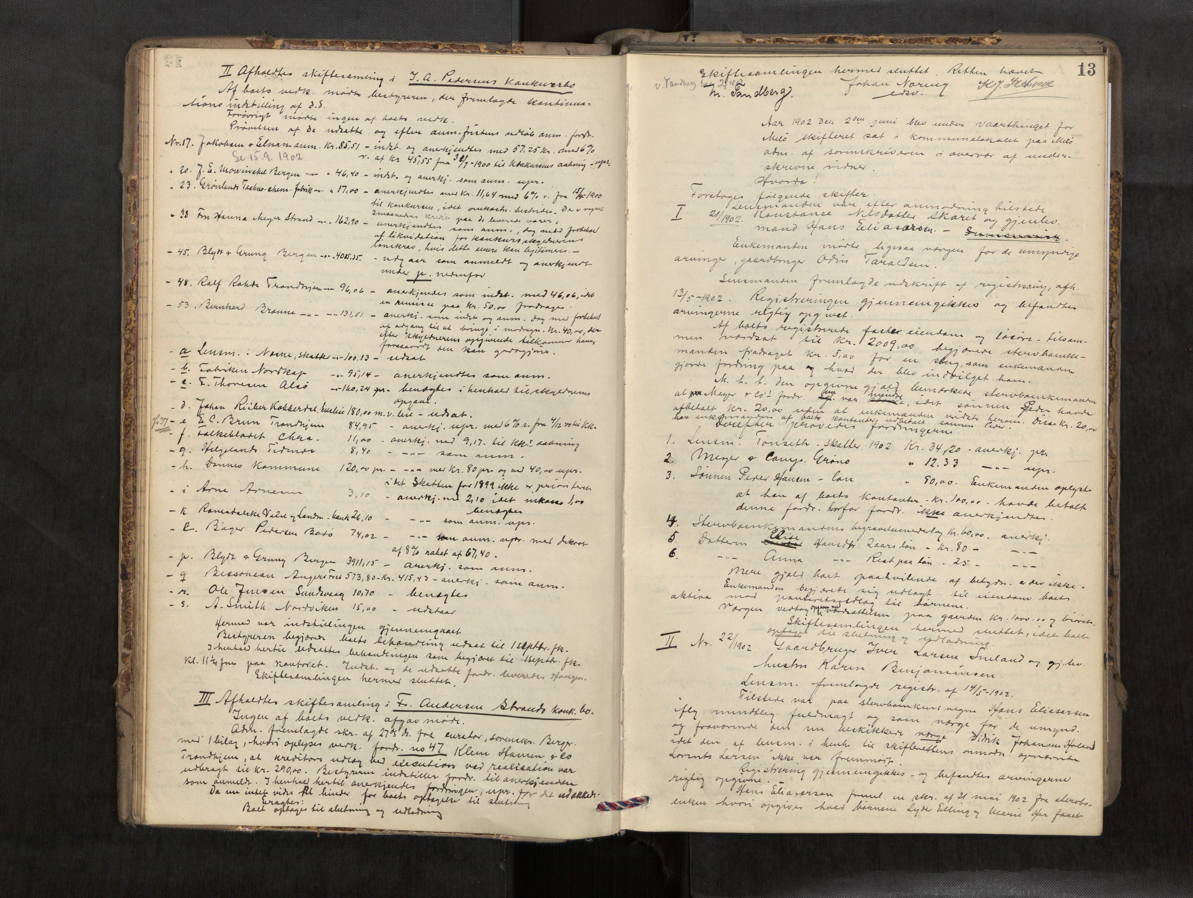 Rana sorenskriveri , AV/SAT-A-1108/1/3/3B/L0007: Skiftebehandlingsprotokoll, 1901-1909, p. 13