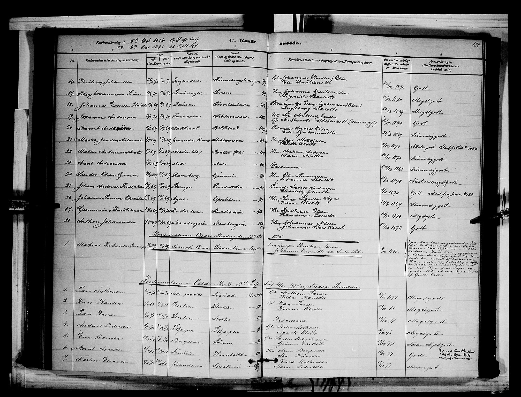 Ringsaker prestekontor, SAH/PREST-014/L/La/L0011: Parish register (copy) no. 11, 1879-1890, p. 120
