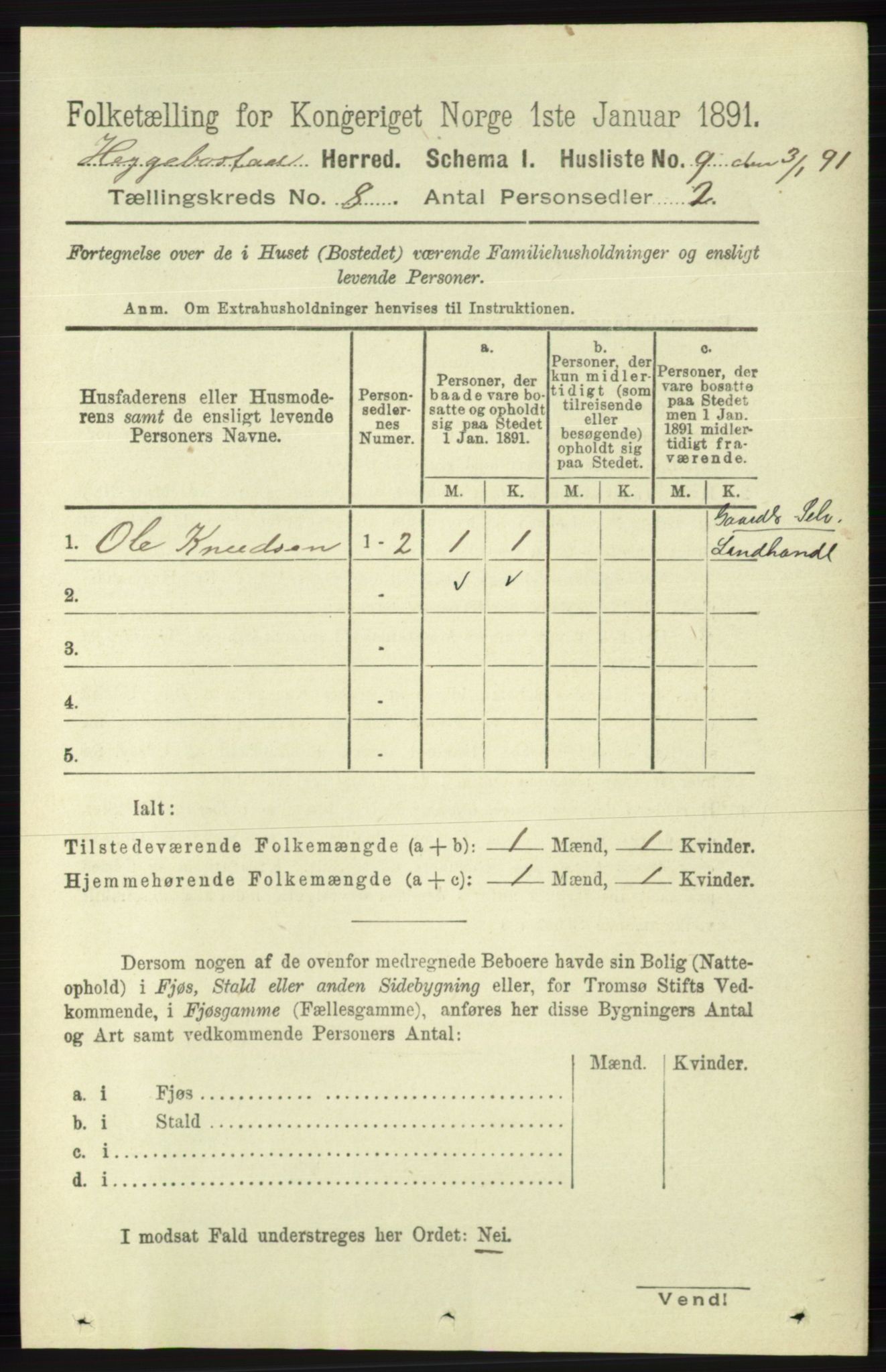 RA, 1891 census for 1034 Hægebostad, 1891, p. 2428