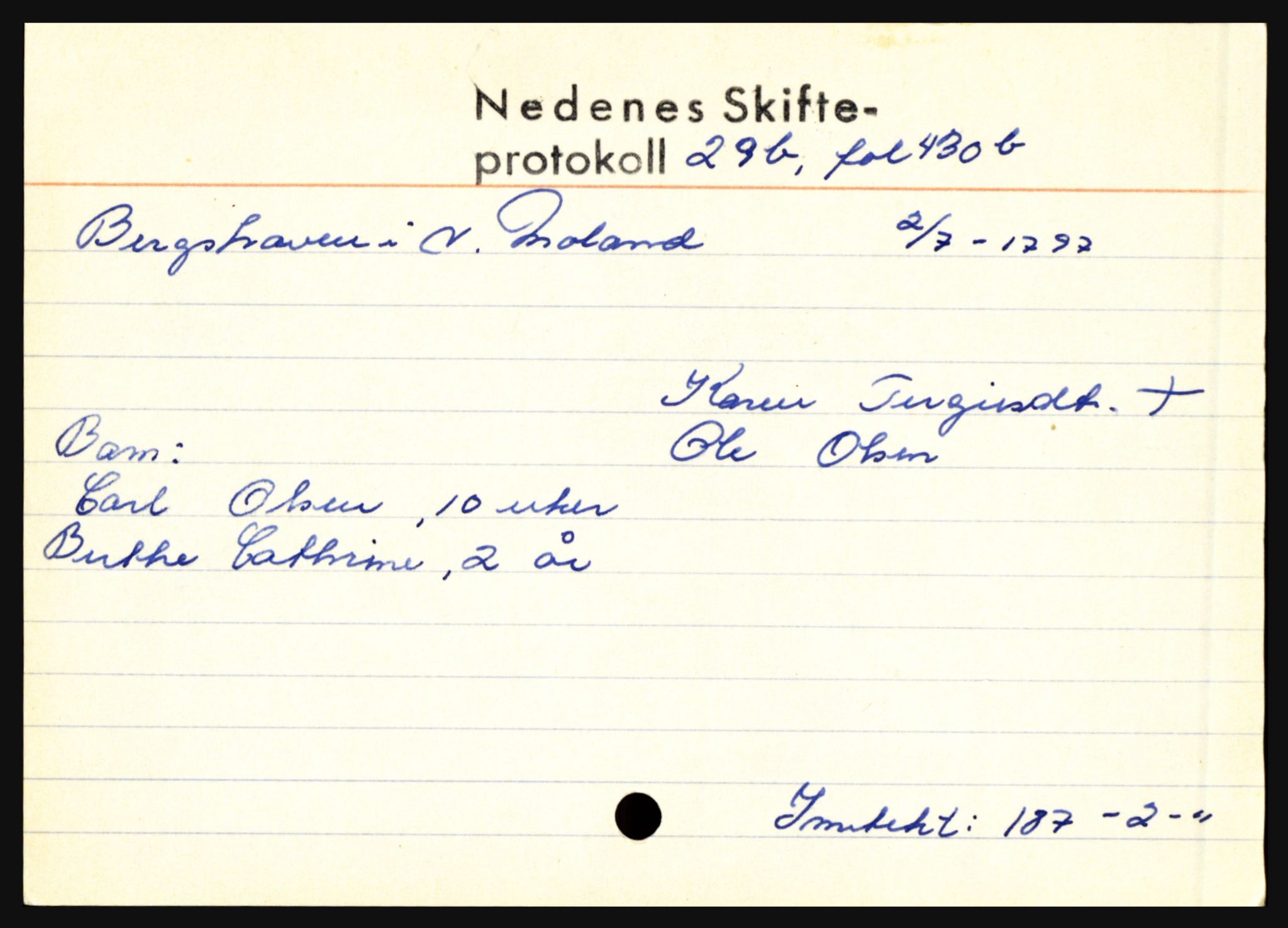 Nedenes sorenskriveri før 1824, AV/SAK-1221-0007/H, p. 2295