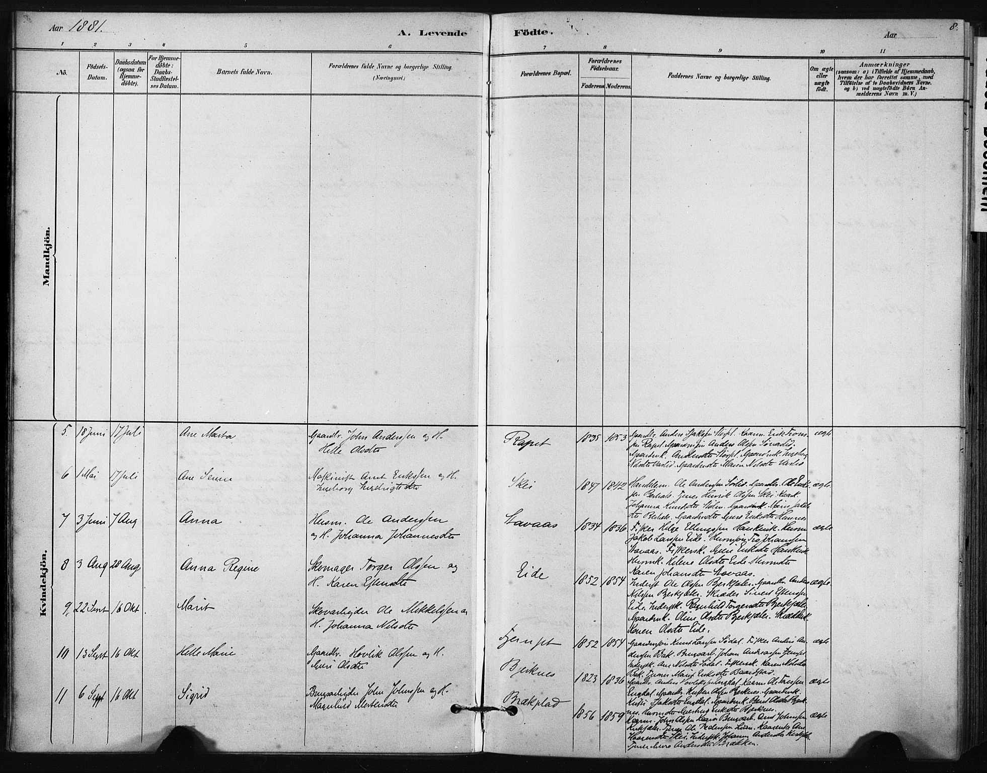 Ministerialprotokoller, klokkerbøker og fødselsregistre - Sør-Trøndelag, SAT/A-1456/631/L0512: Parish register (official) no. 631A01, 1879-1912, p. 8