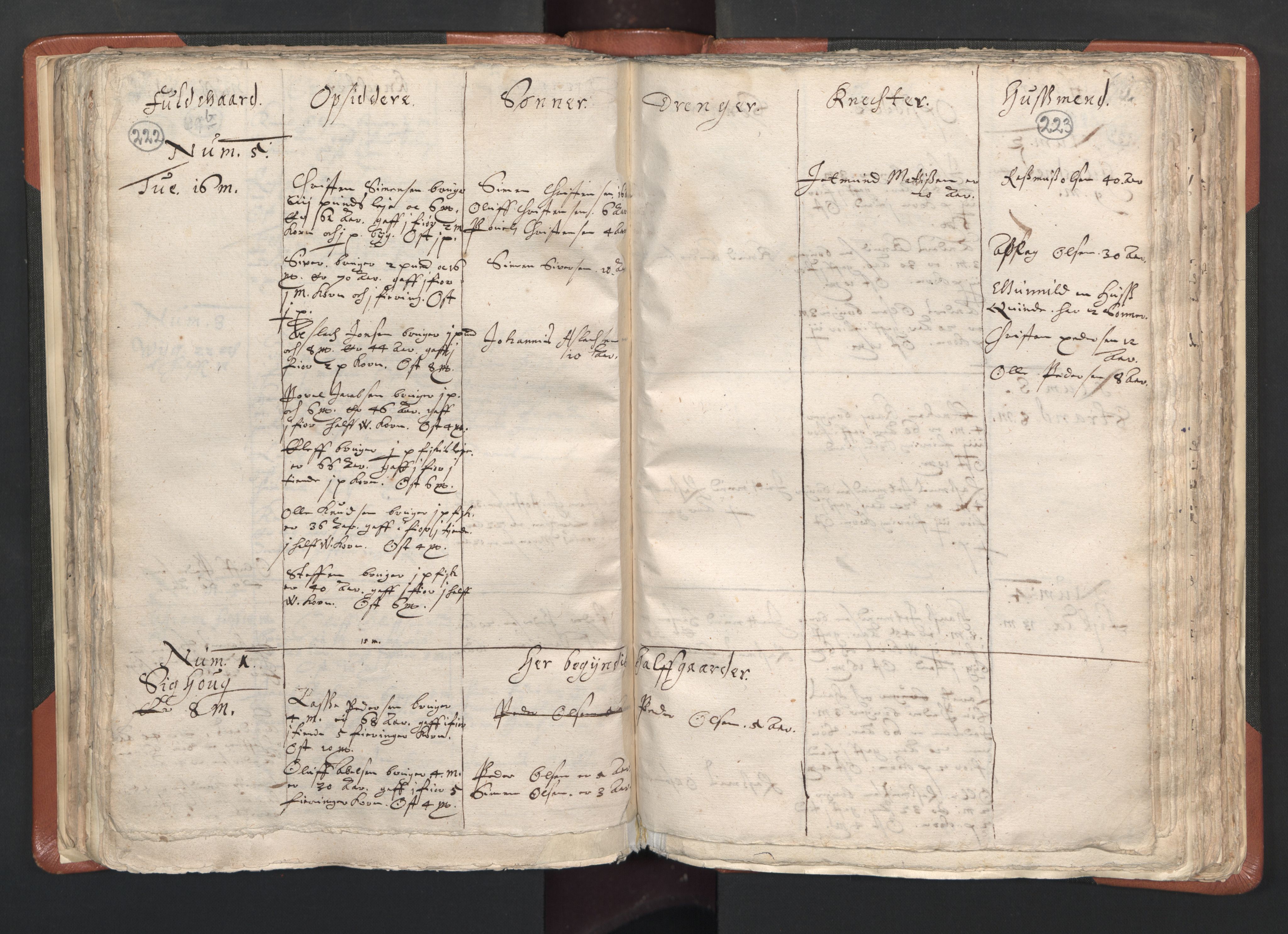 RA, Vicar's Census 1664-1666, no. 26: Sunnmøre deanery, 1664-1666, p. 222-223