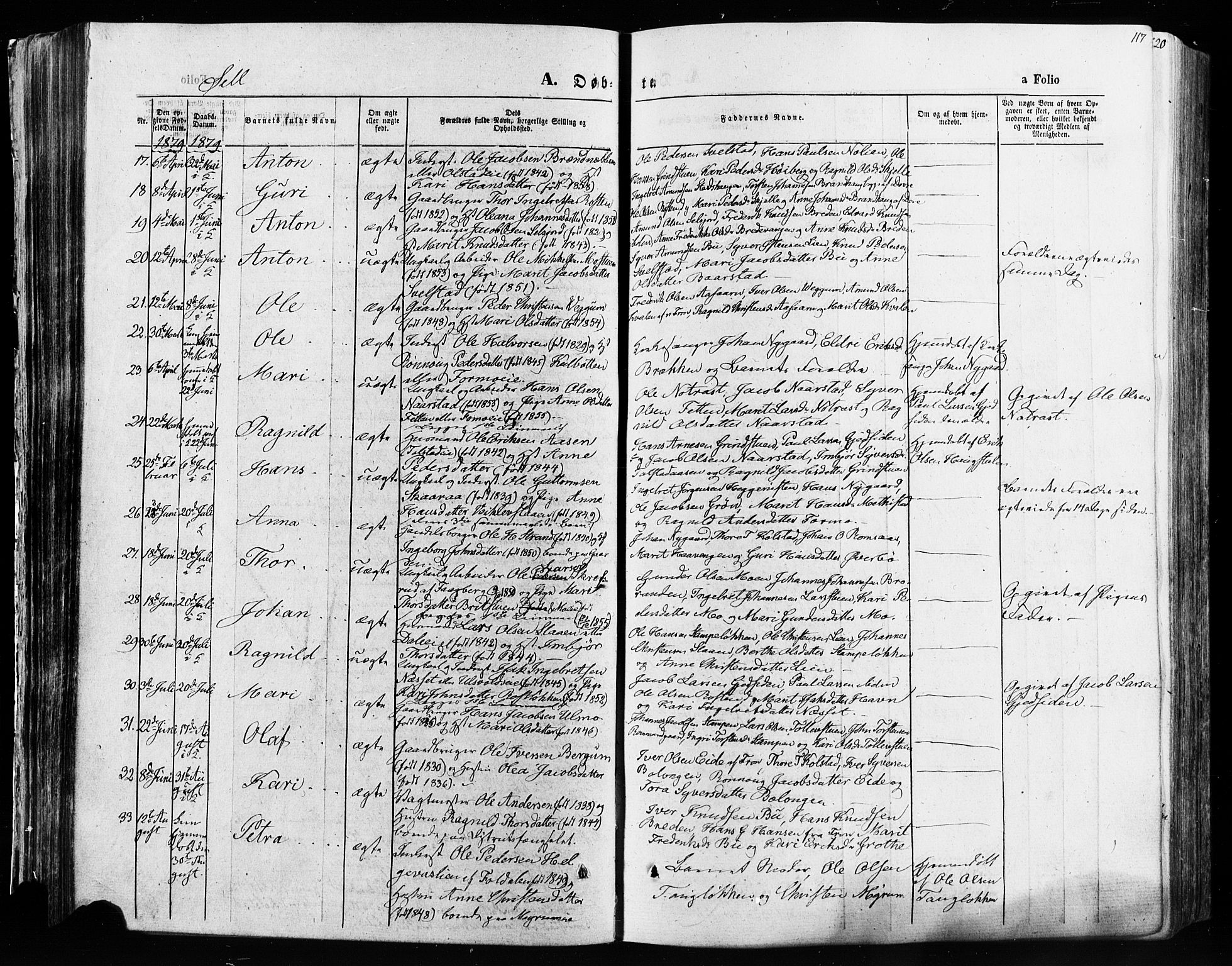 Vågå prestekontor, AV/SAH-PREST-076/H/Ha/Haa/L0007: Parish register (official) no. 7 /3, 1872-1886, p. 117