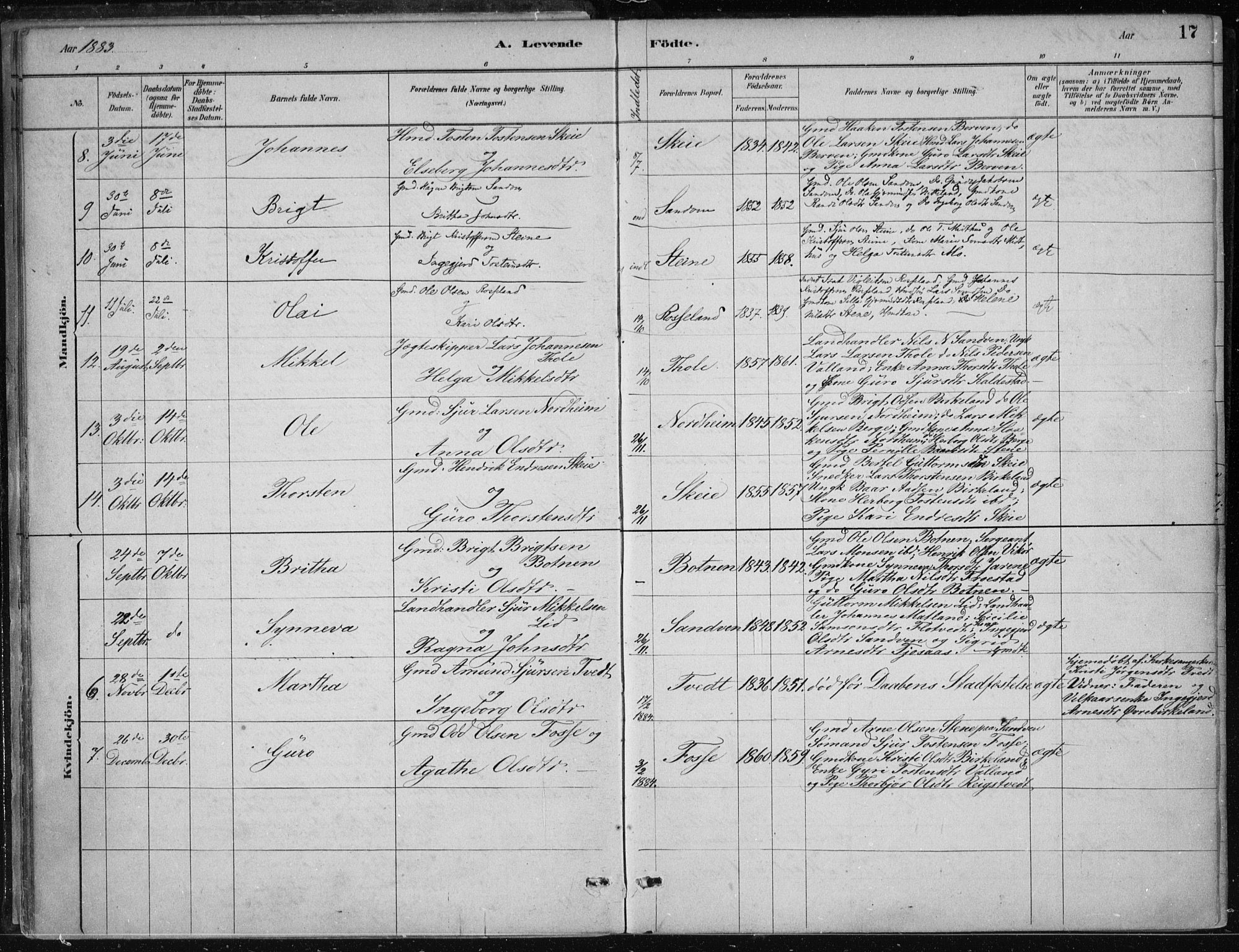 Kvam sokneprestembete, AV/SAB-A-76201/H/Haa: Parish register (official) no. B  1, 1880-1908, p. 17