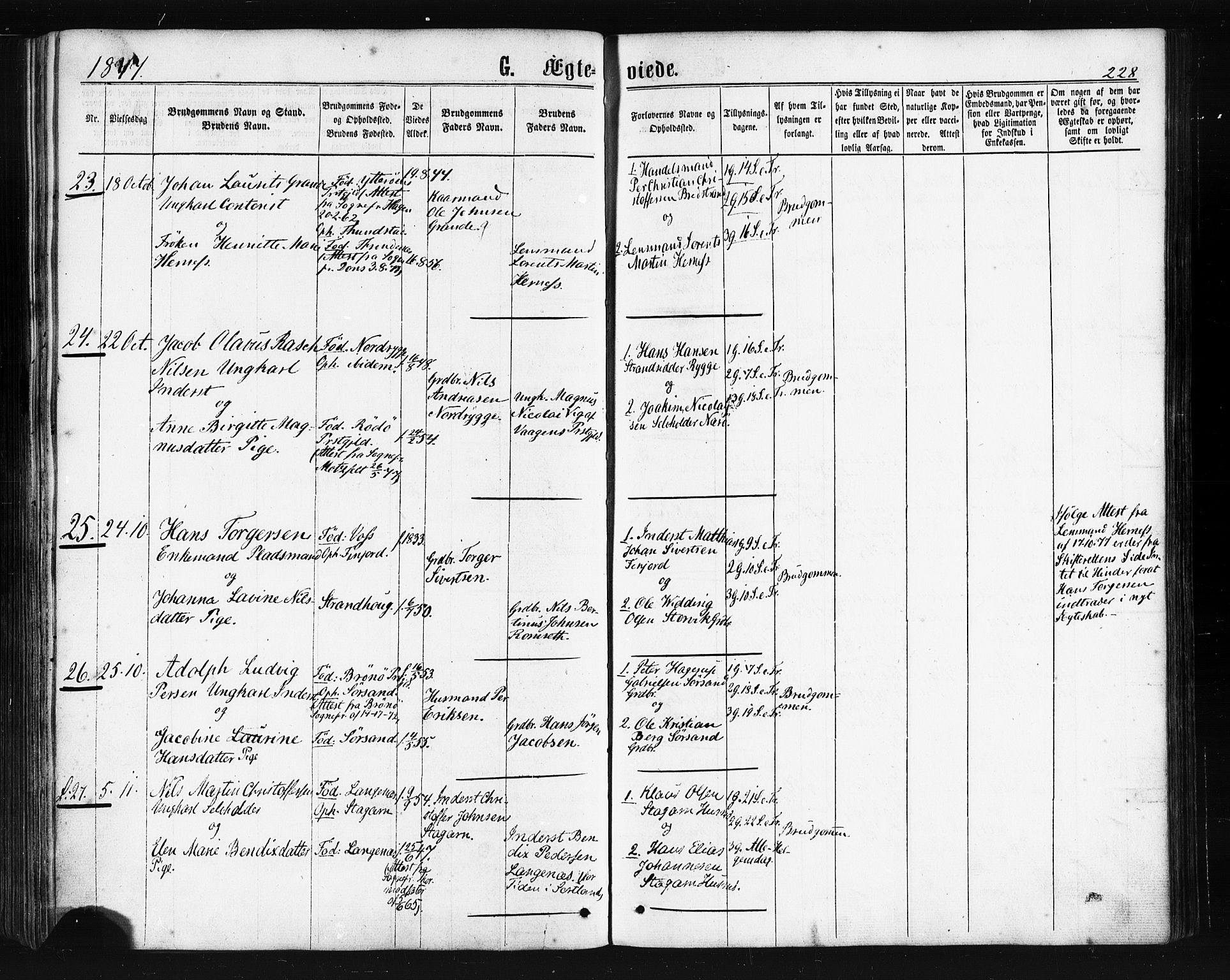 Ministerialprotokoller, klokkerbøker og fødselsregistre - Nordland, SAT/A-1459/893/L1334: Parish register (official) no. 893A07, 1867-1877, p. 228