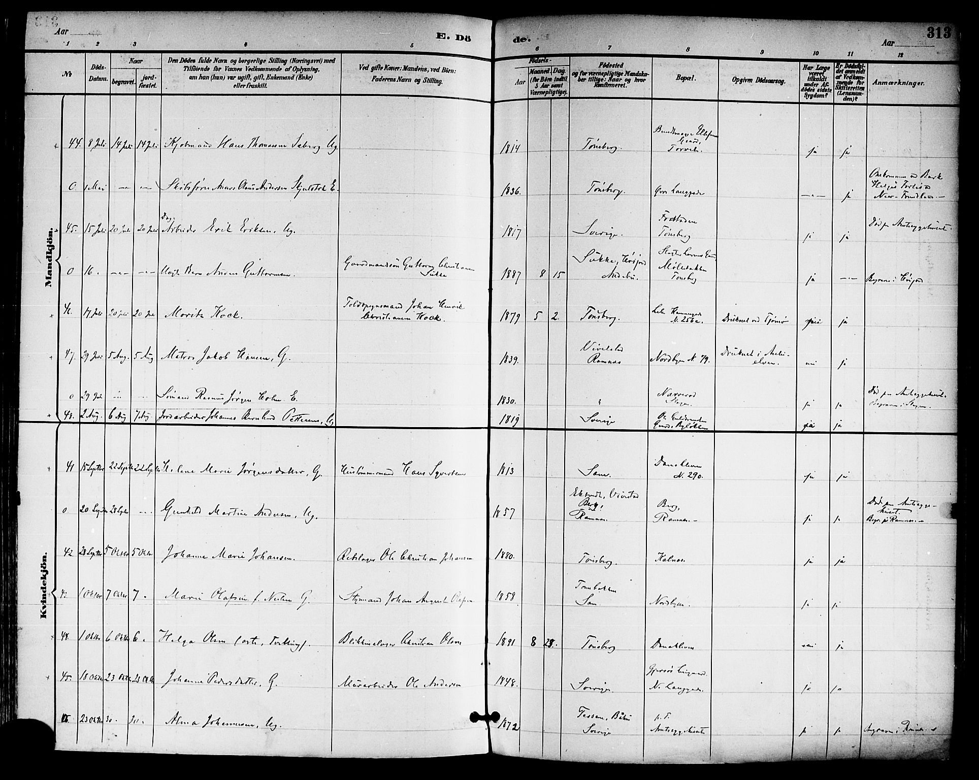 Tønsberg kirkebøker, AV/SAKO-A-330/F/Fa/L0012: Parish register (official) no. I 12, 1891-1899, p. 313