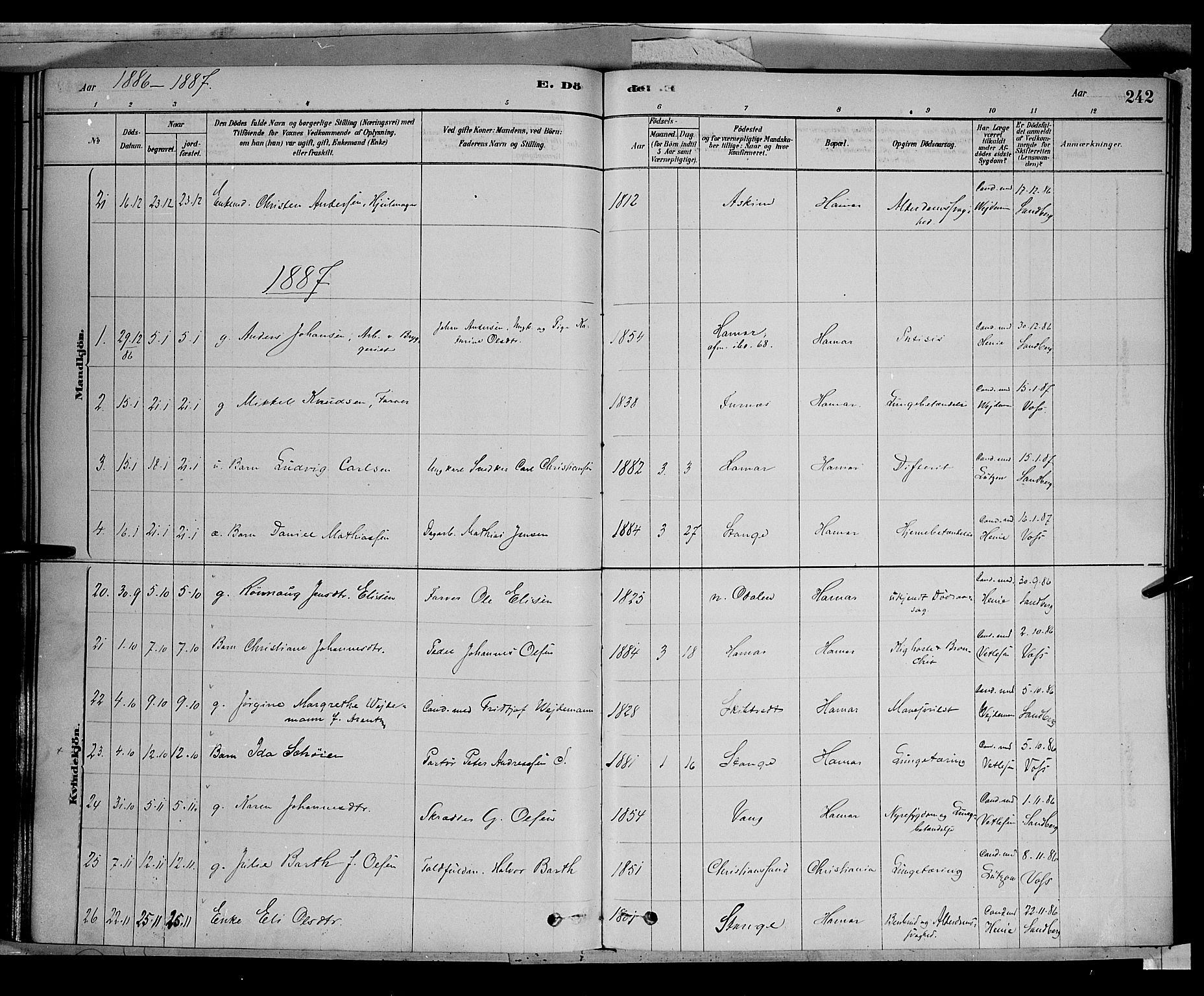 Vang prestekontor, Hedmark, AV/SAH-PREST-008/H/Ha/Haa/L0016: Parish register (official) no. 16, 1878-1889, p. 242