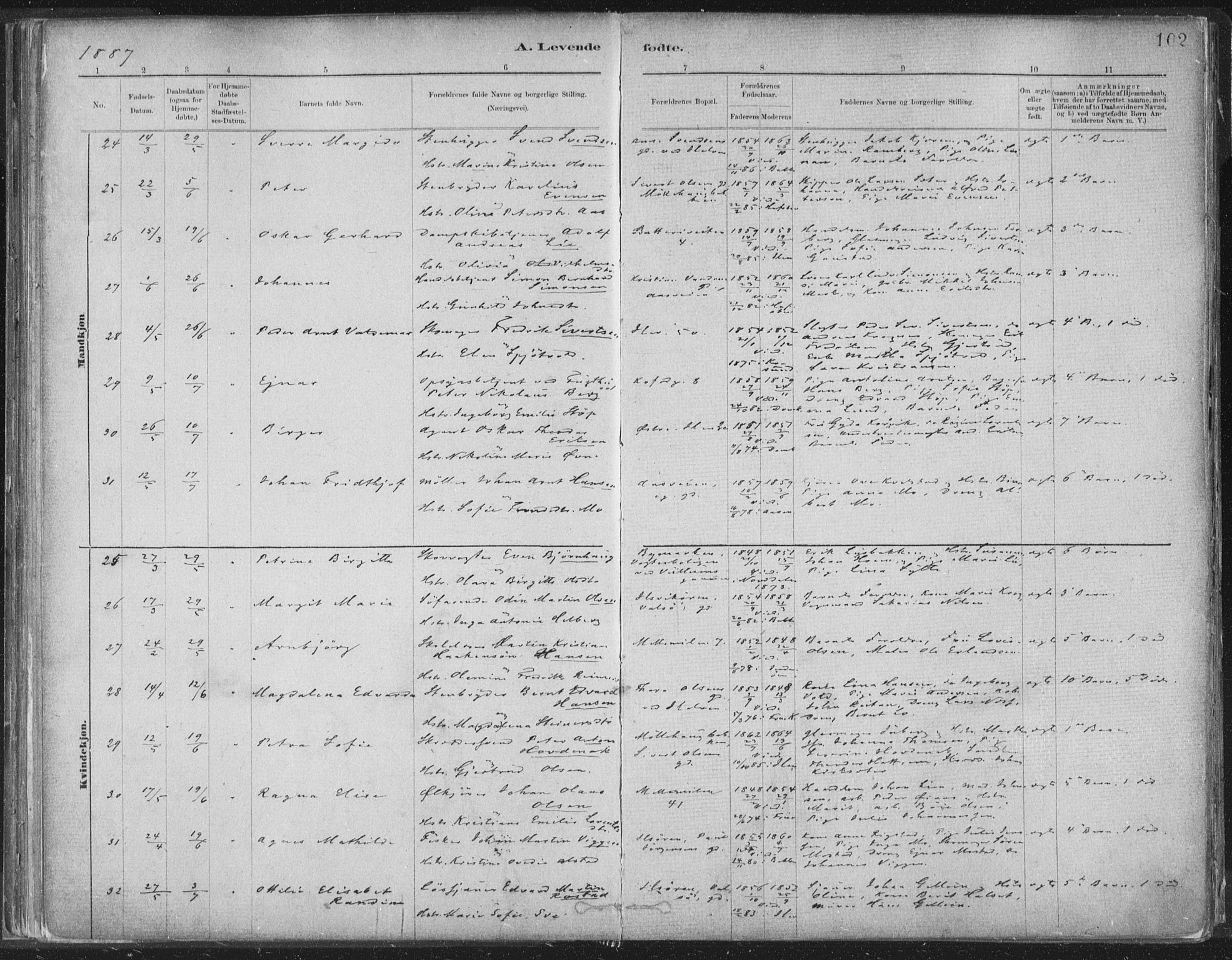 Ministerialprotokoller, klokkerbøker og fødselsregistre - Sør-Trøndelag, SAT/A-1456/603/L0162: Parish register (official) no. 603A01, 1879-1895, p. 102