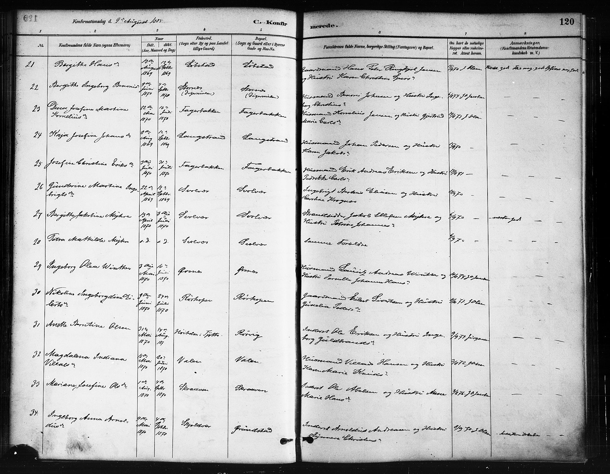 Ministerialprotokoller, klokkerbøker og fødselsregistre - Nordland, AV/SAT-A-1459/874/L1059: Parish register (official) no. 874A03, 1884-1890, p. 120