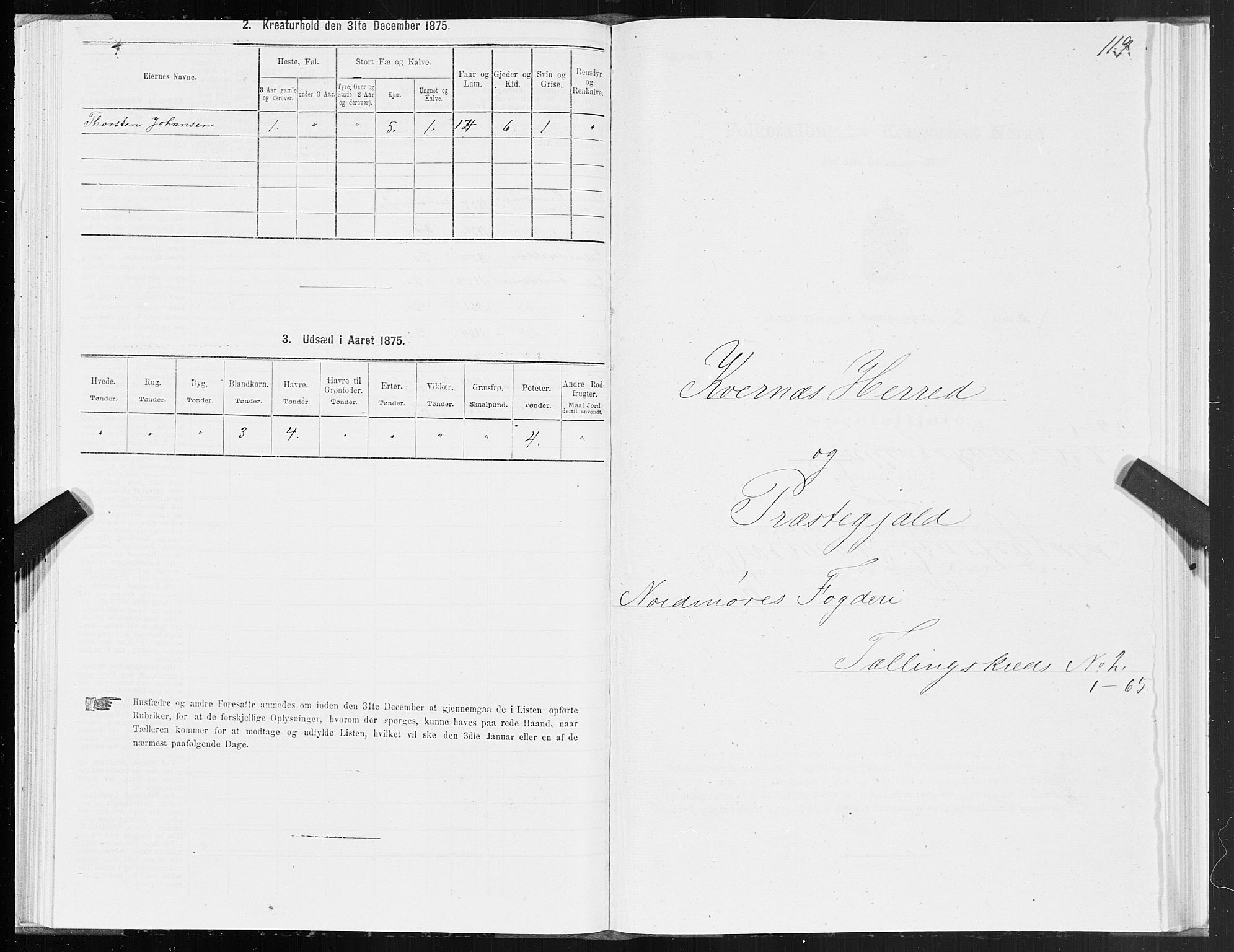 SAT, 1875 census for 1553P Kvernes, 1875, p. 1119