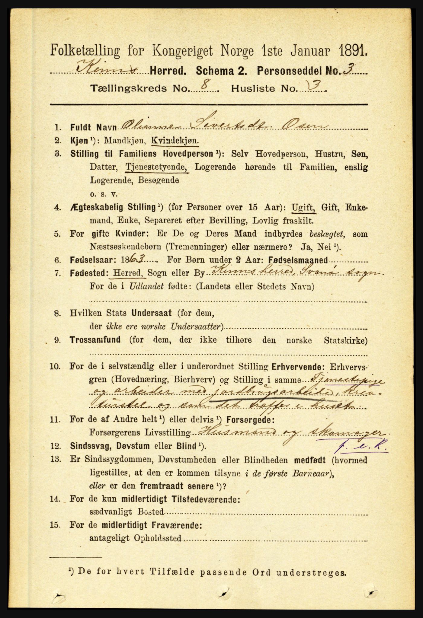 RA, 1891 census for 1437 Kinn, 1891, p. 3123