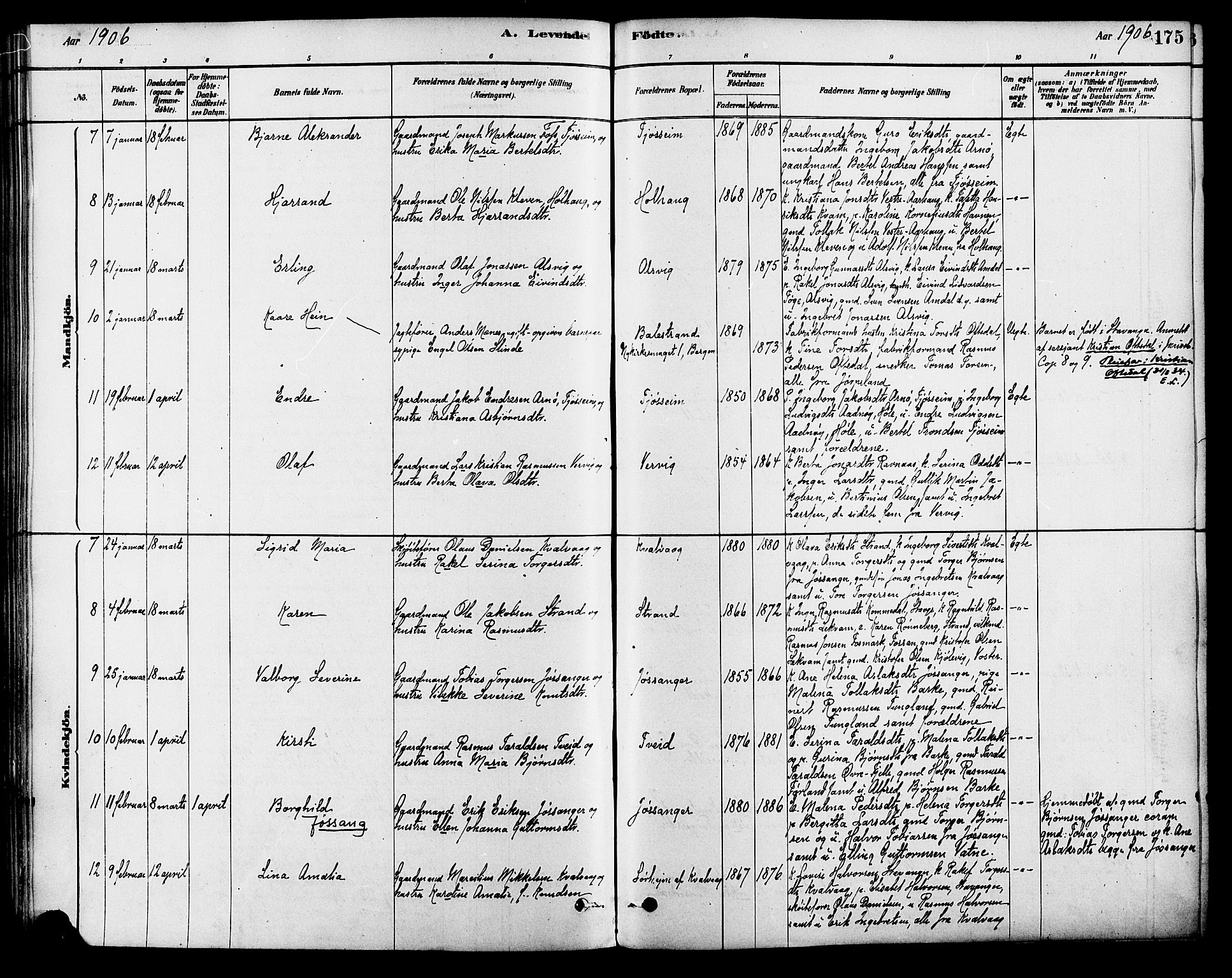 Strand sokneprestkontor, SAST/A-101828/H/Ha/Haa/L0009: Parish register (official) no. A 9, 1877-1908, p. 175