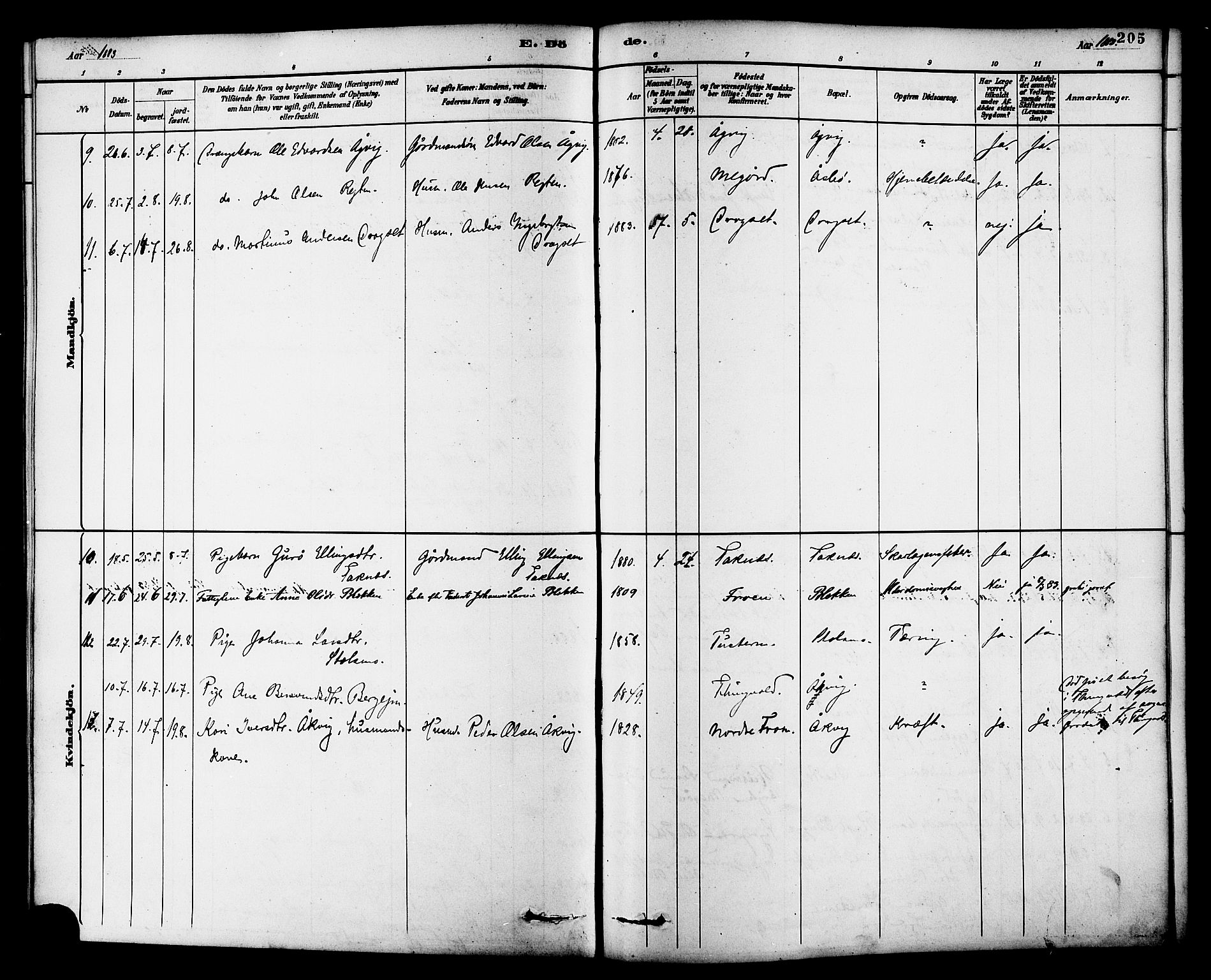 Ministerialprotokoller, klokkerbøker og fødselsregistre - Møre og Romsdal, SAT/A-1454/576/L0885: Parish register (official) no. 576A03, 1880-1898, p. 205