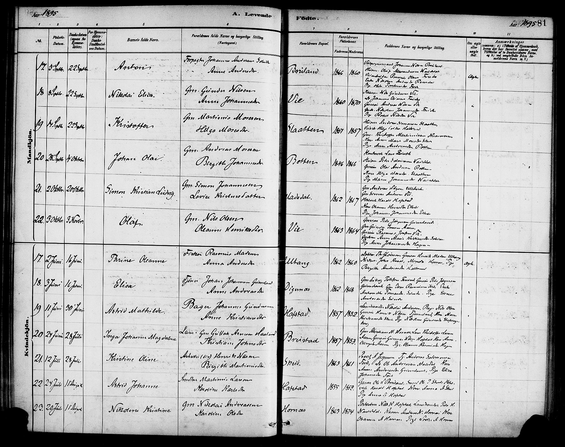 Førde sokneprestembete, AV/SAB-A-79901/H/Haa/Haab/L0001: Parish register (official) no. B 1, 1880-1898, p. 81