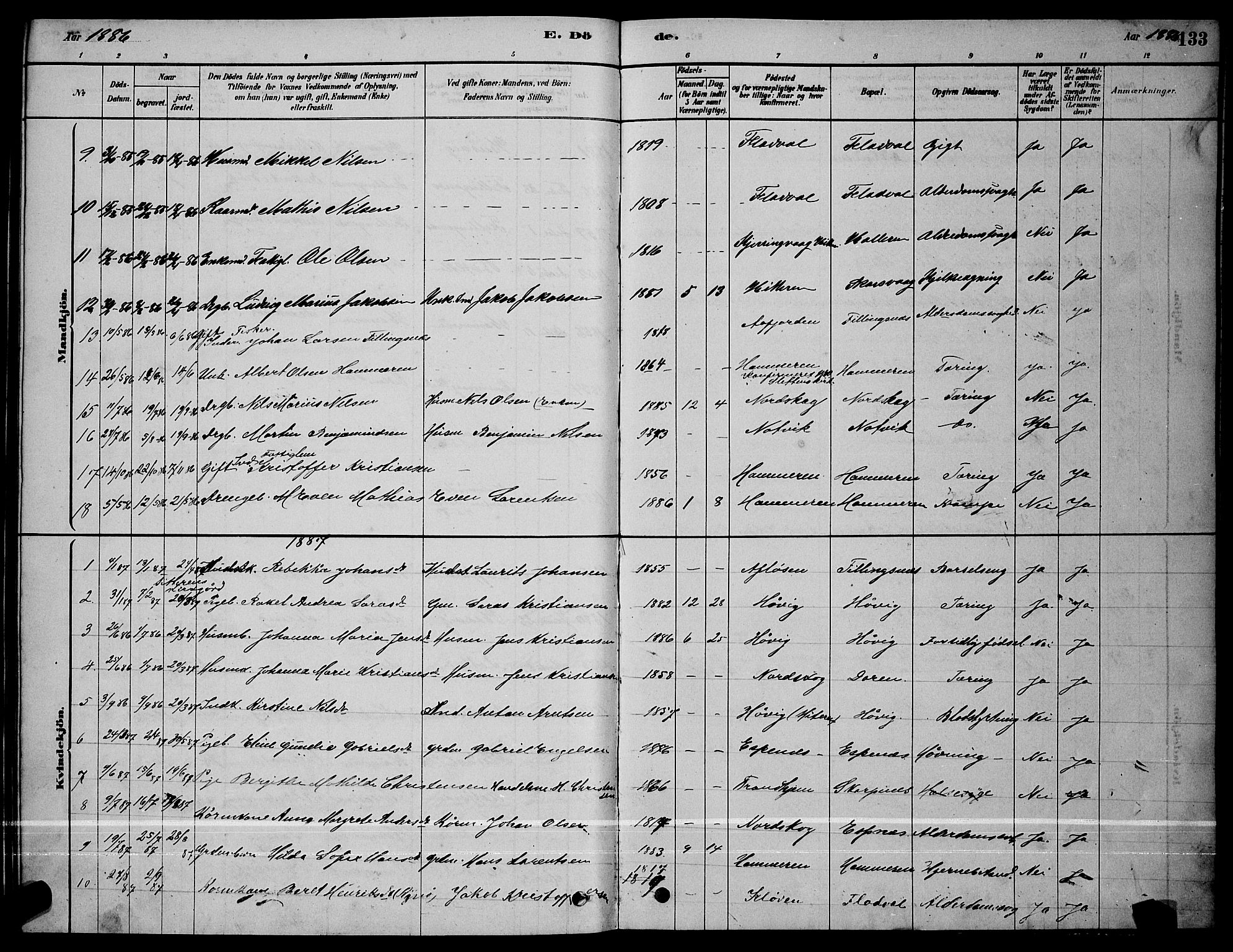 Ministerialprotokoller, klokkerbøker og fødselsregistre - Sør-Trøndelag, SAT/A-1456/641/L0597: Parish register (copy) no. 641C01, 1878-1893, p. 133