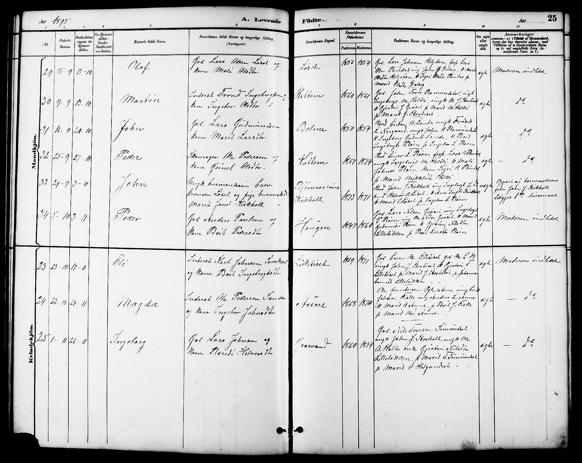 Ministerialprotokoller, klokkerbøker og fødselsregistre - Møre og Romsdal, SAT/A-1454/598/L1078: Parish register (copy) no. 598C03, 1892-1909, p. 25