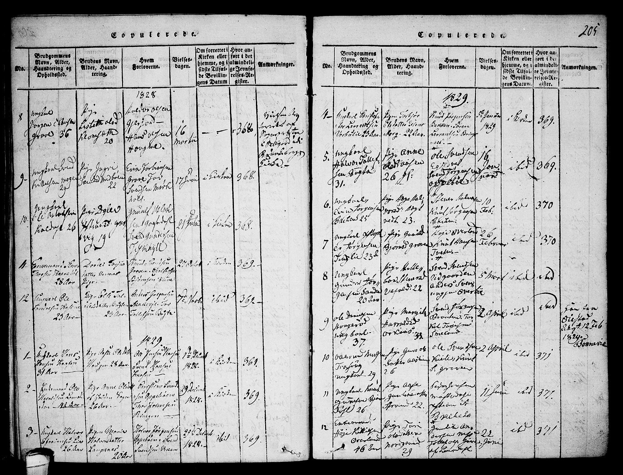 Seljord kirkebøker, AV/SAKO-A-20/F/Fa/L0010: Parish register (official) no. I 10, 1815-1831, p. 205
