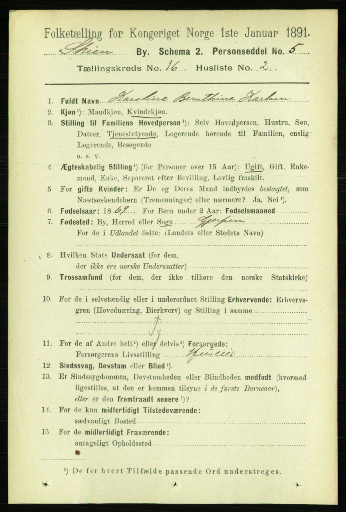 RA, 1891 census for 0806 Skien, 1891, p. 4564