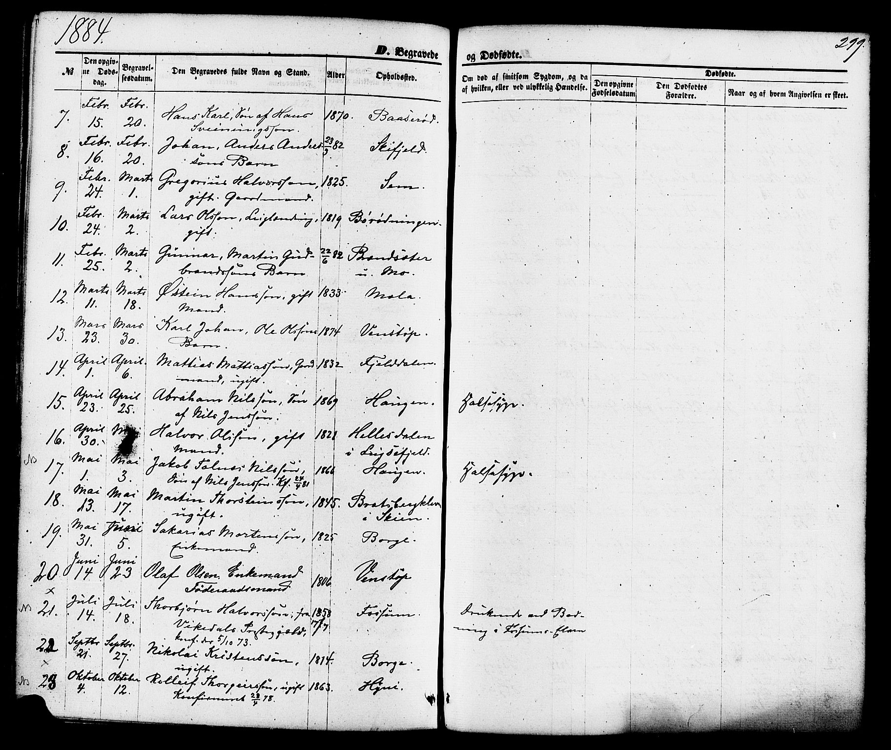 Gjerpen kirkebøker, AV/SAKO-A-265/F/Fa/L0009: Parish register (official) no. I 9, 1872-1885, p. 299