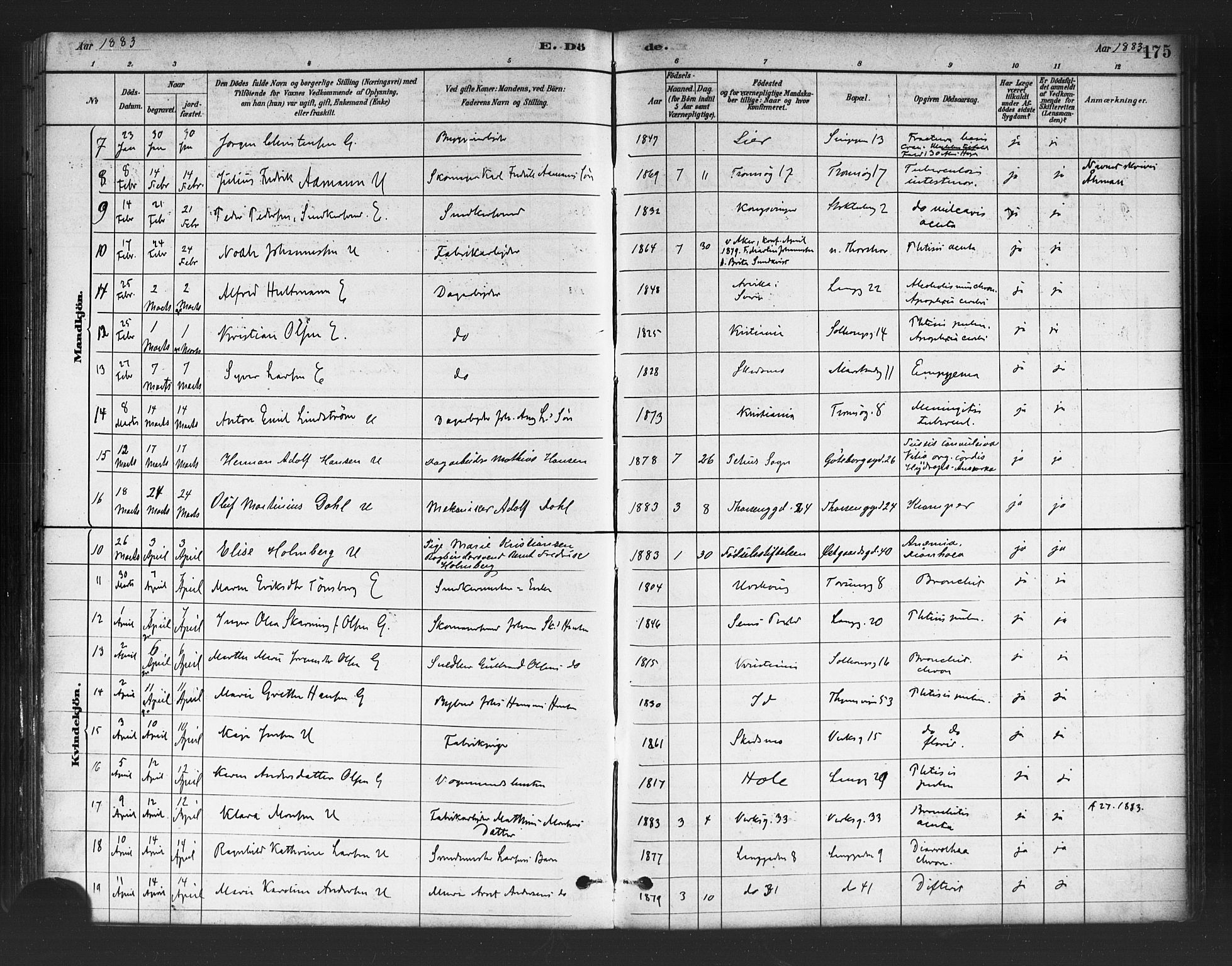 Petrus prestekontor Kirkebøker, SAO/A-10872/F/Fa/L0002: Parish register (official) no. 2, 1881-1896, p. 175