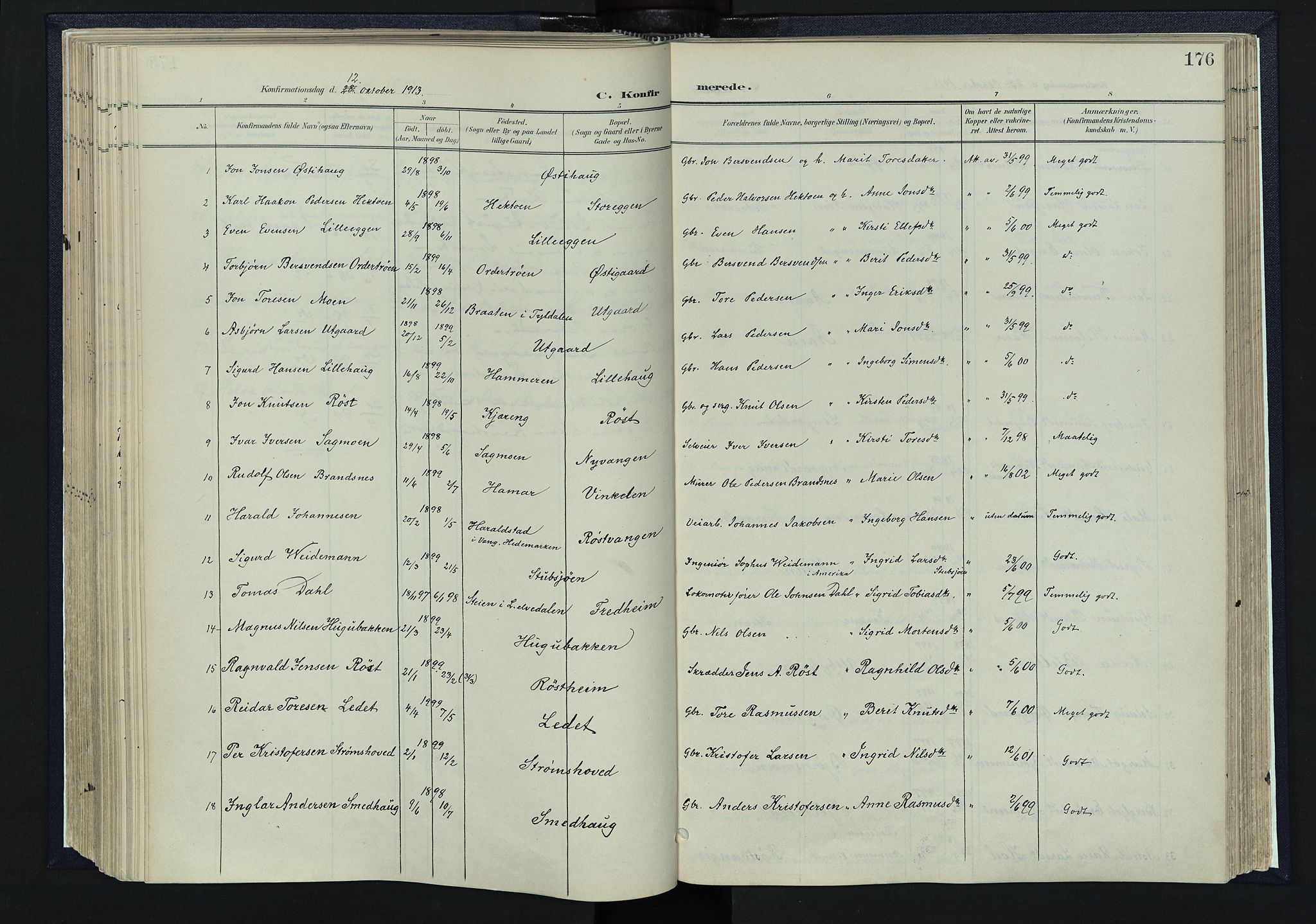 Tynset prestekontor, SAH/PREST-058/H/Ha/Haa/L0025: Parish register (official) no. 25, 1900-1914, p. 176