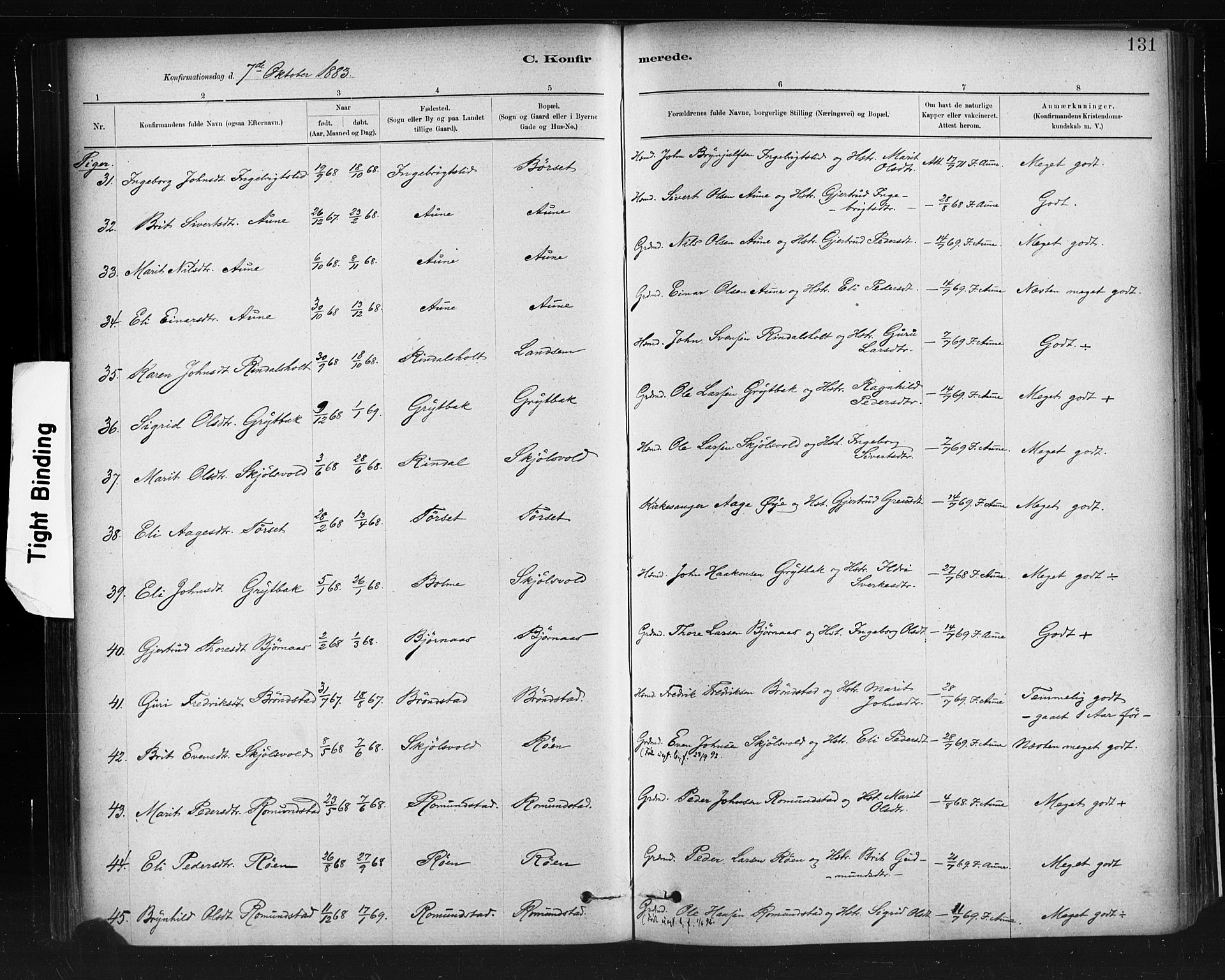 Ministerialprotokoller, klokkerbøker og fødselsregistre - Møre og Romsdal, AV/SAT-A-1454/598/L1069: Parish register (official) no. 598A03, 1882-1895, p. 131