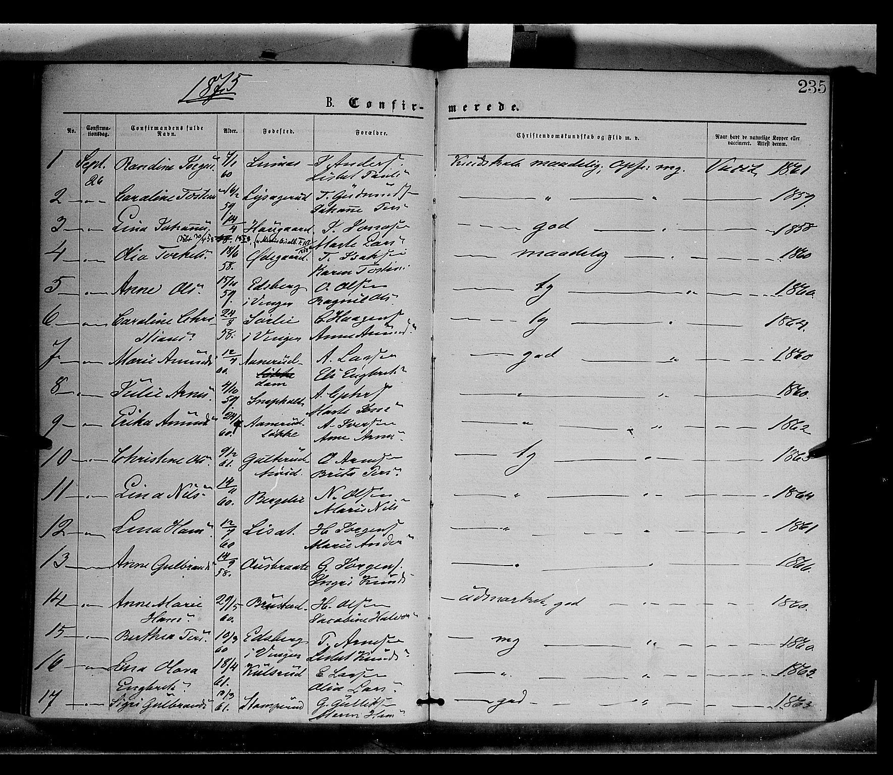 Sør-Odal prestekontor, AV/SAH-PREST-030/H/Ha/Haa/L0004: Parish register (official) no. 4, 1870-1875, p. 235