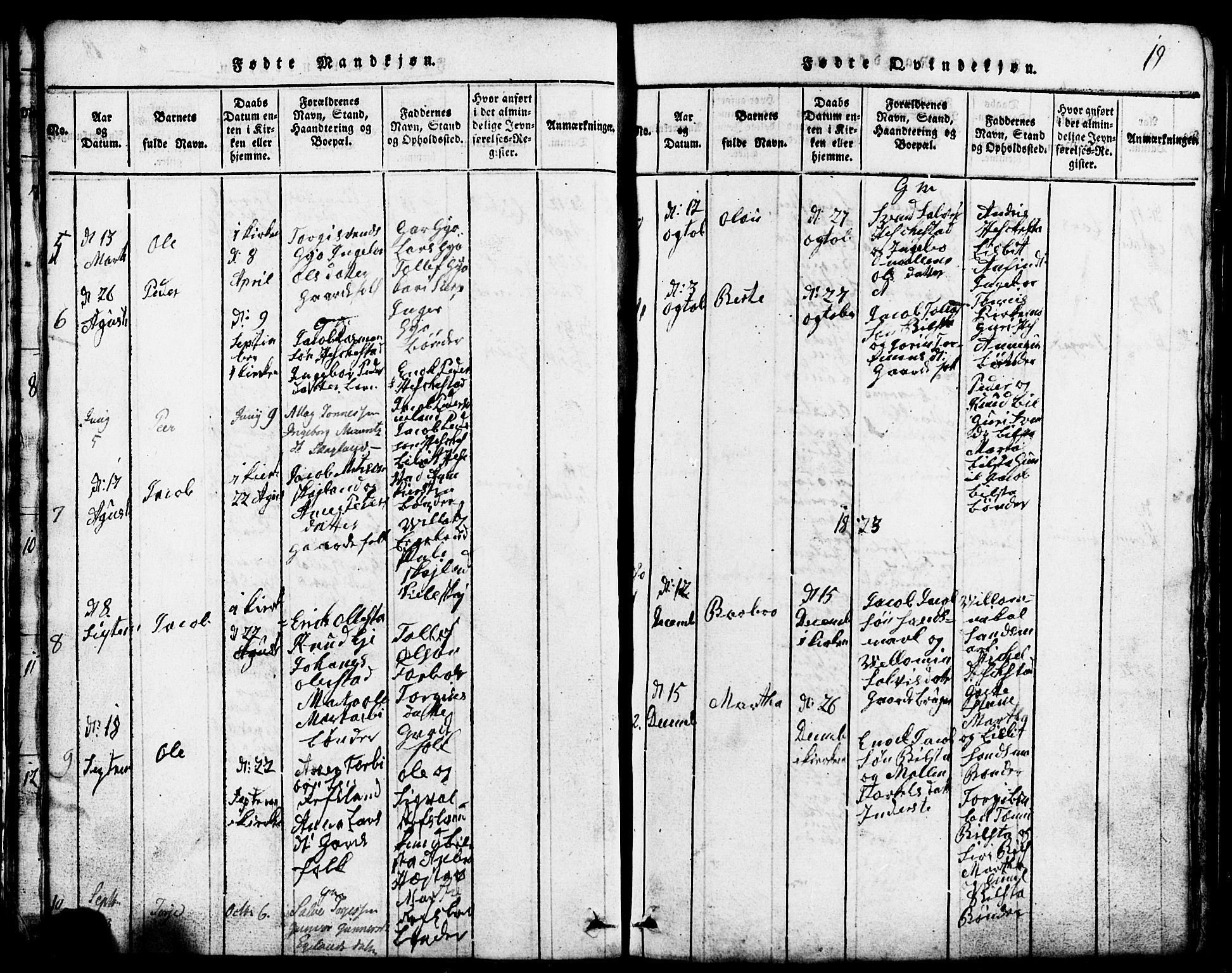 Lund sokneprestkontor, SAST/A-101809/S07/L0001: Parish register (copy) no. B 1, 1815-1853, p. 19