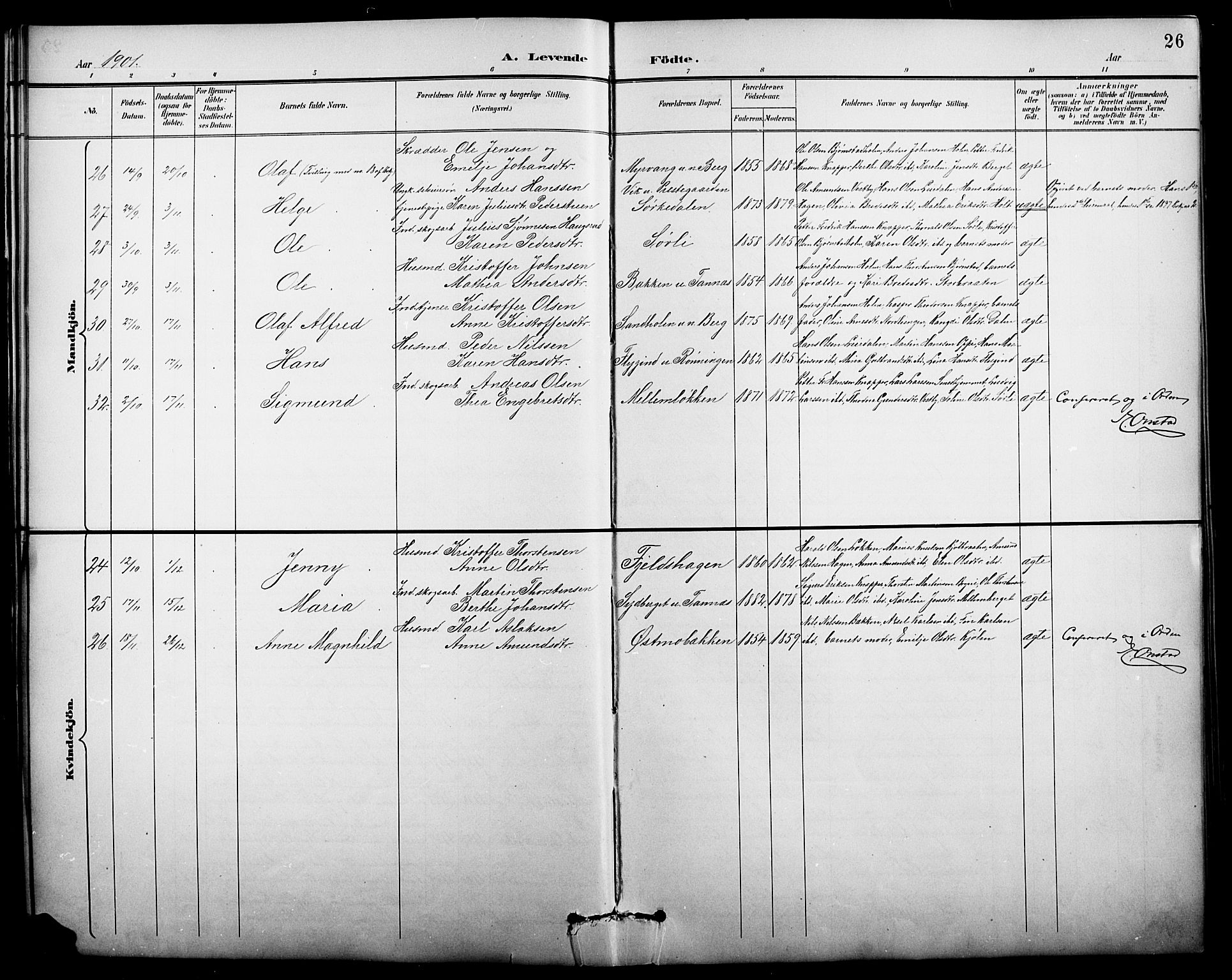 Nord-Odal prestekontor, AV/SAH-PREST-032/H/Ha/Hab/L0002: Parish register (copy) no. 2, 1895-1921, p. 26