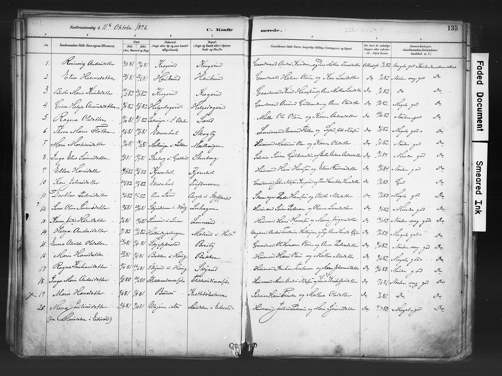 Nord-Odal prestekontor, AV/SAH-PREST-032/H/Ha/Haa/L0006: Parish register (official) no. 6, 1886-1901, p. 135